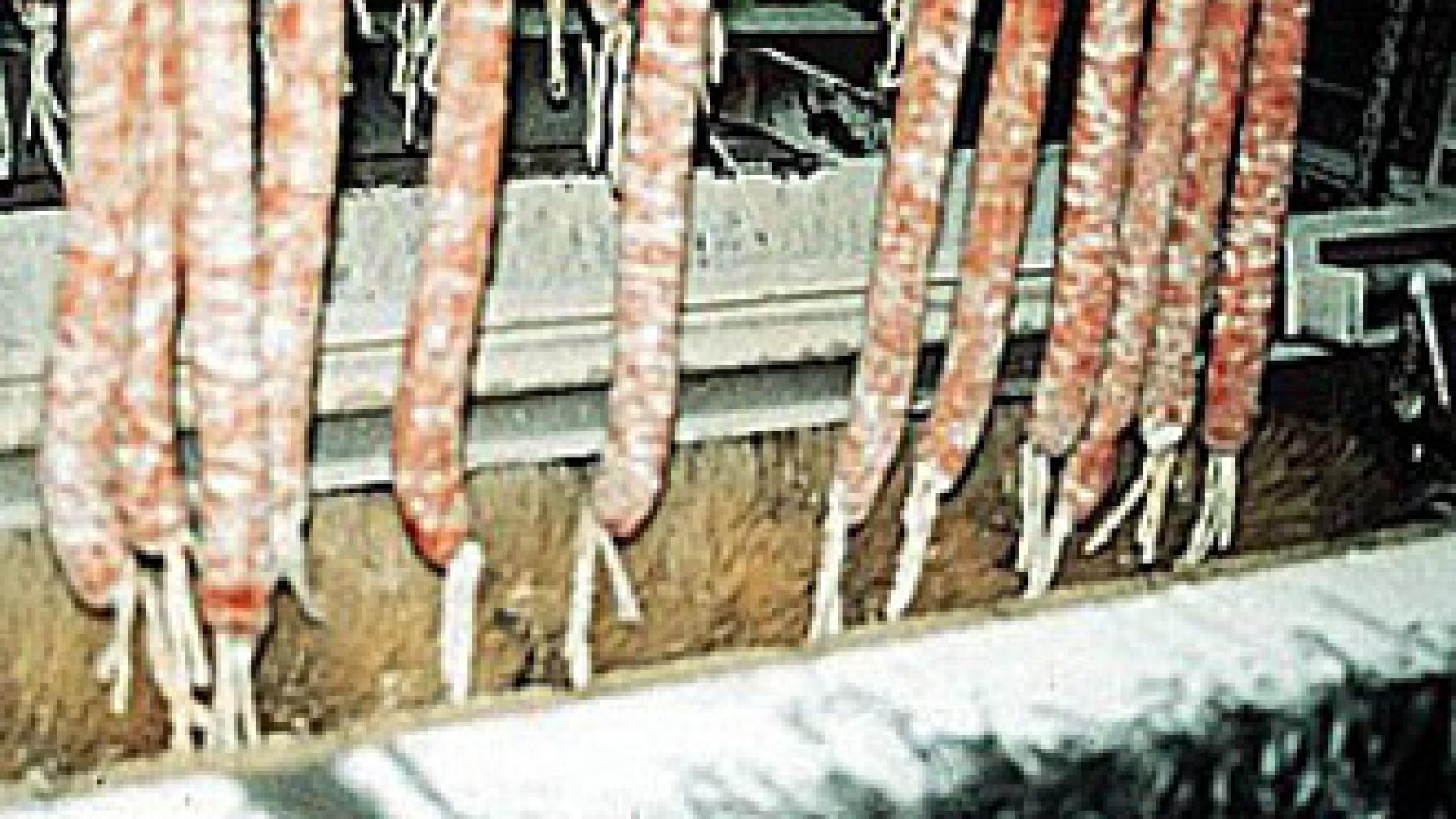 2011_0329_2011_0329_IMATGE