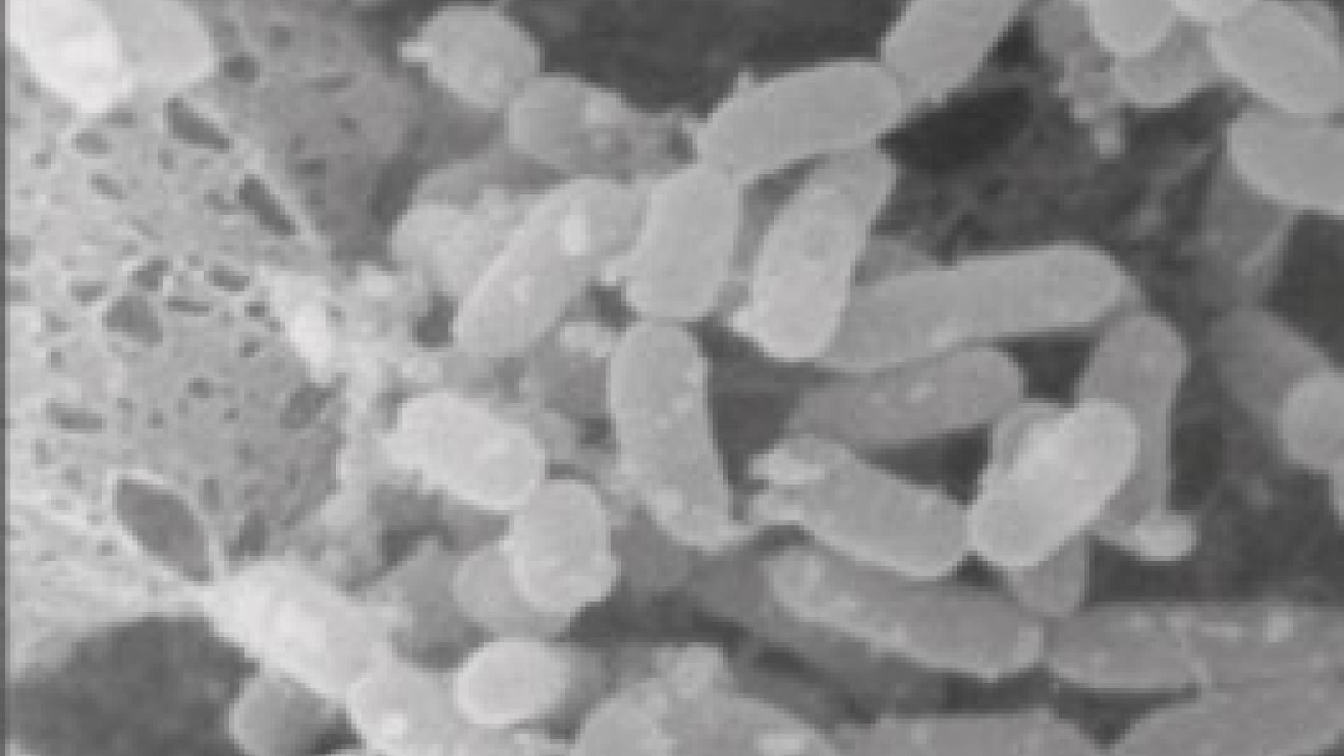 2011_0349_2011_0349_IMATGE