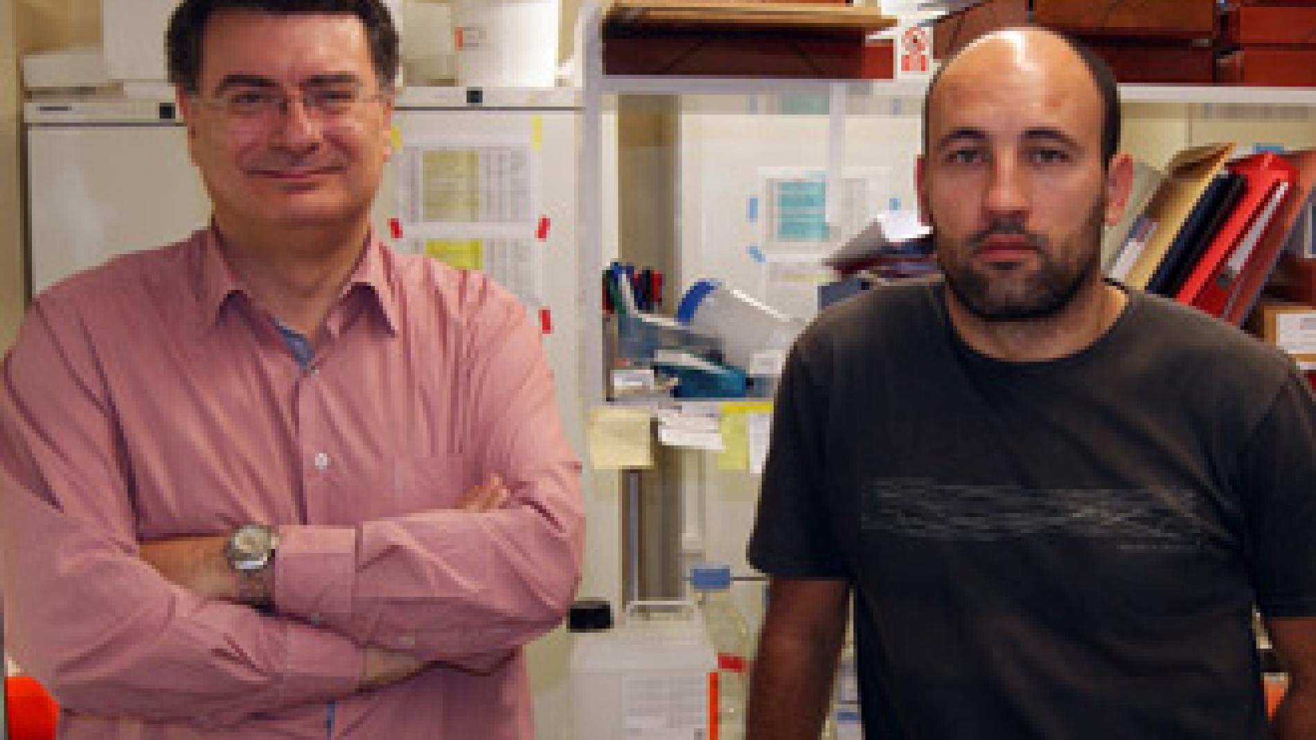 2012_0002_2012_0002_IMATGE