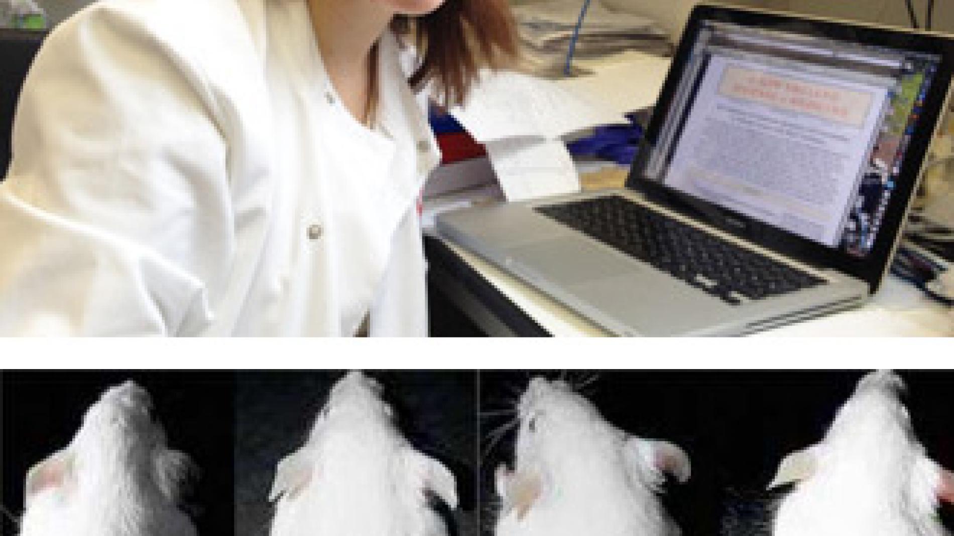 2012_0010_2012_0010_IMATGE