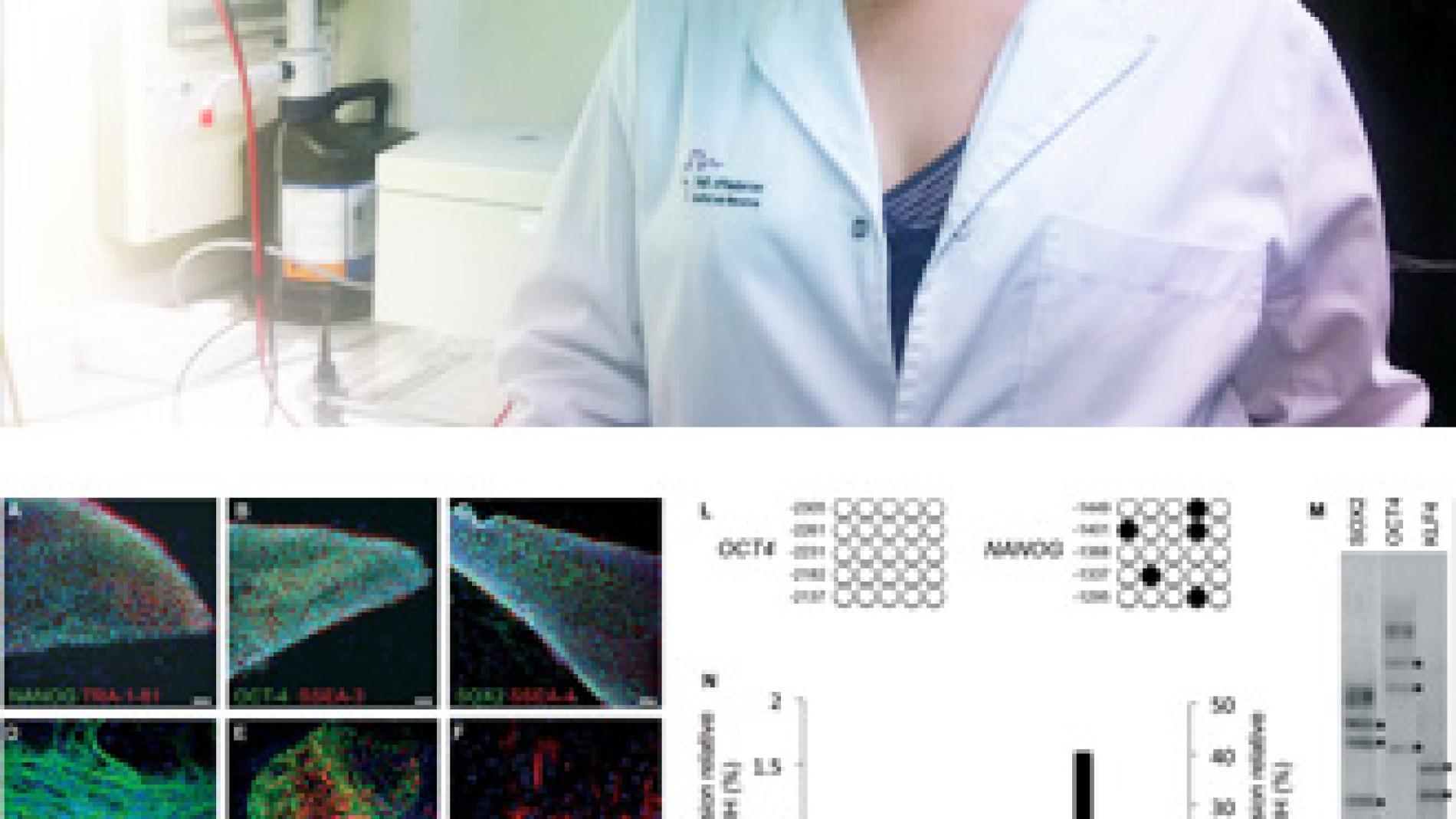 2012_0038_2012_0038_IMATGE