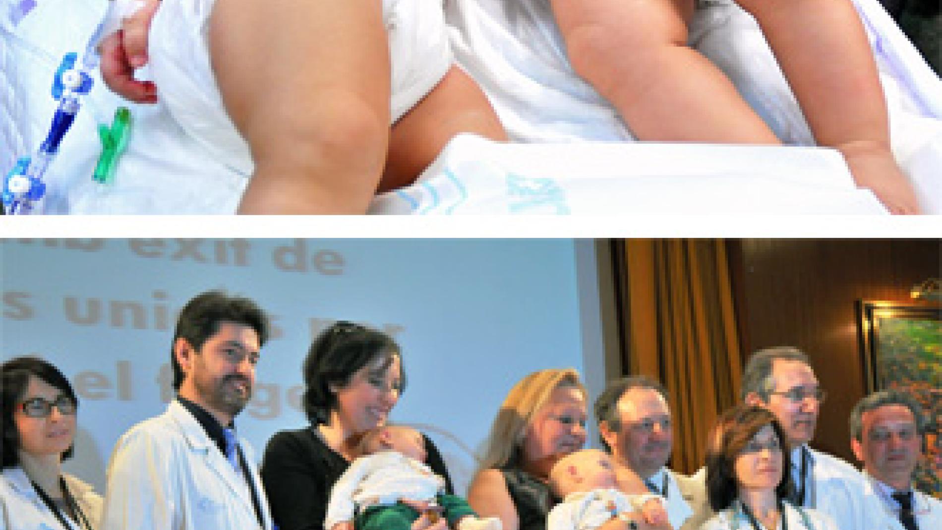 2012_0041_2012_0041_IMATGE