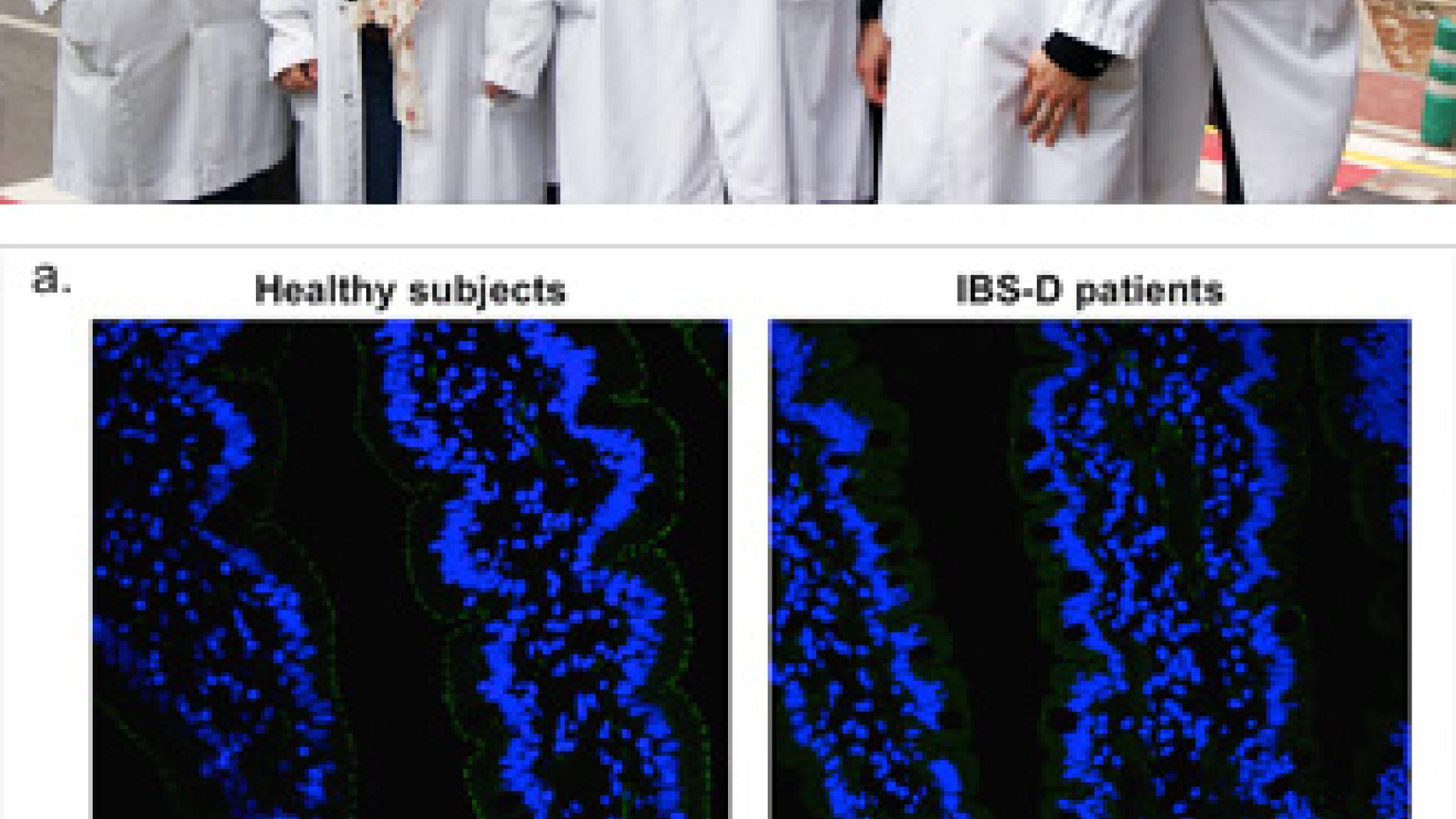 2012_0075_2012_0075_IMATGE