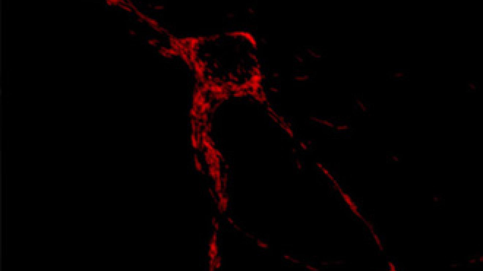 2012_0094_2012_0094_IMATGE