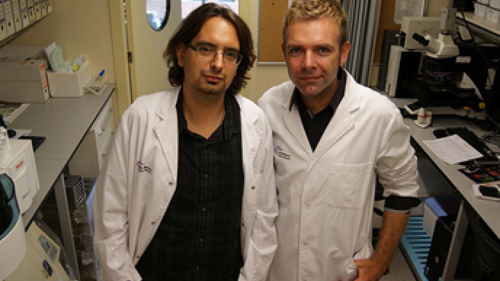 2012_0191_2012_0191_IMATGE