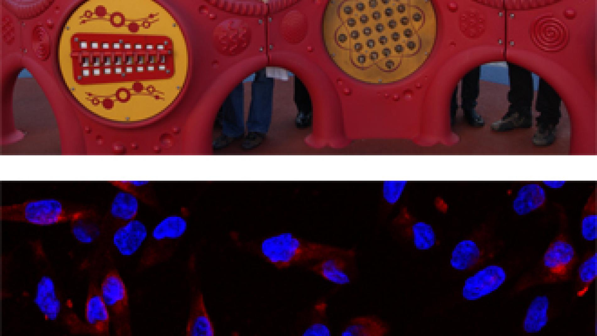 2012_0231_2012_0231_IMATGE