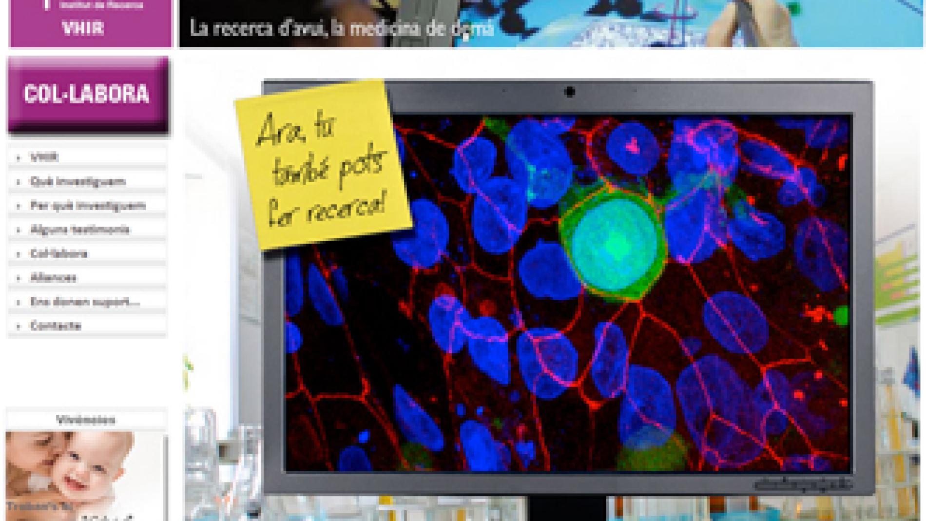 2012_0240_2012_0240_IMATGE