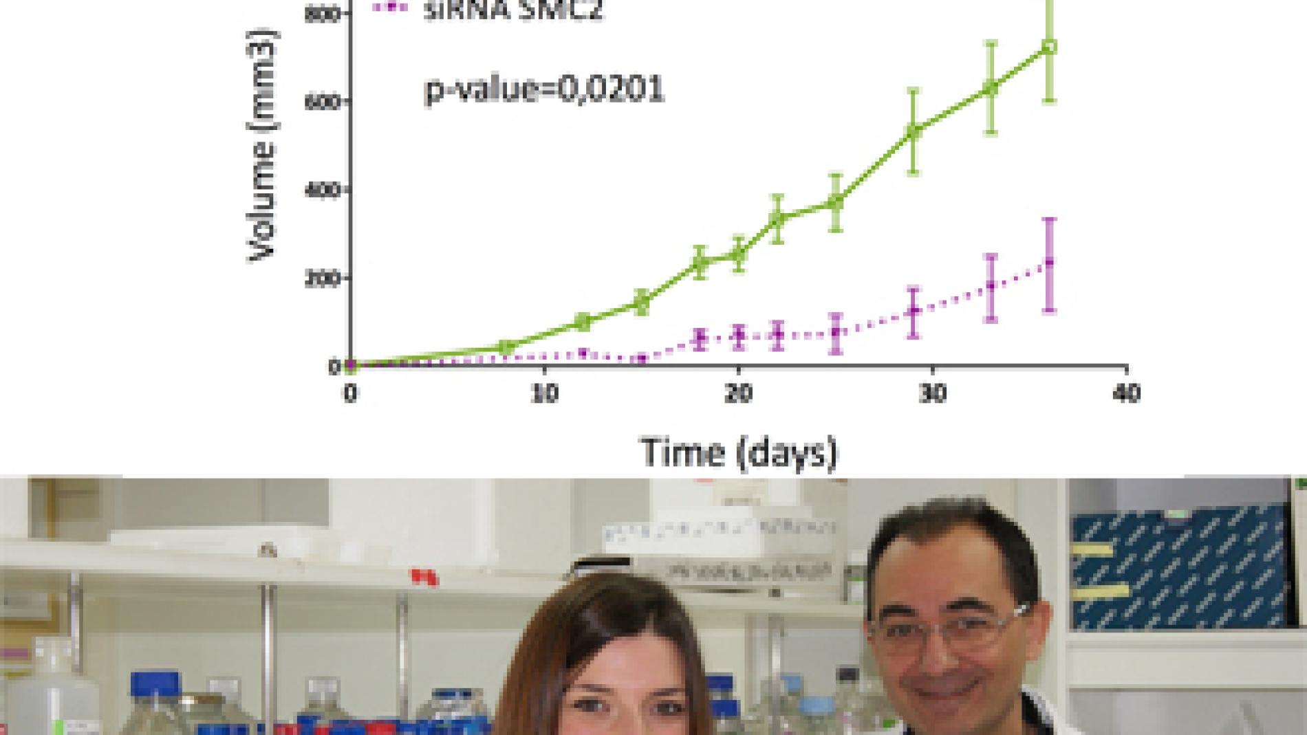 2013_0008_2013_0008_IMATGE