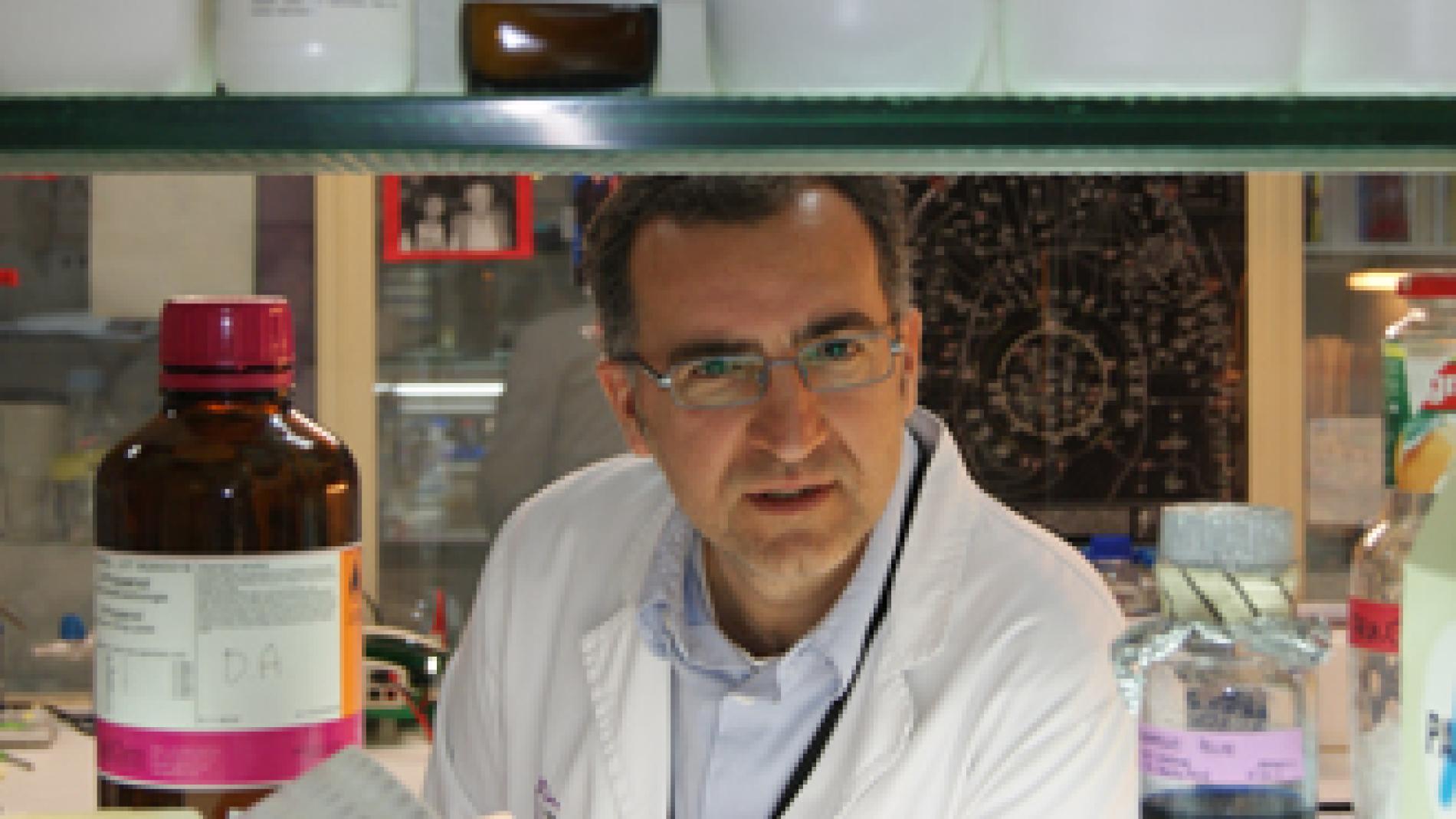 2013_0013_2013_0013_IMATGE