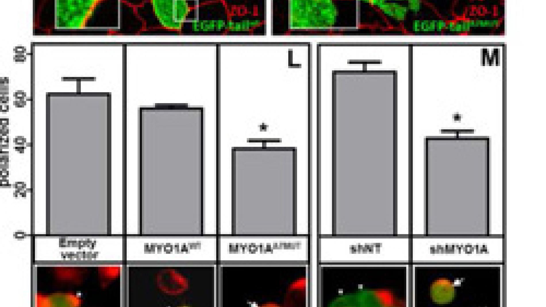 2013_0014_2013_0014_IMATGE