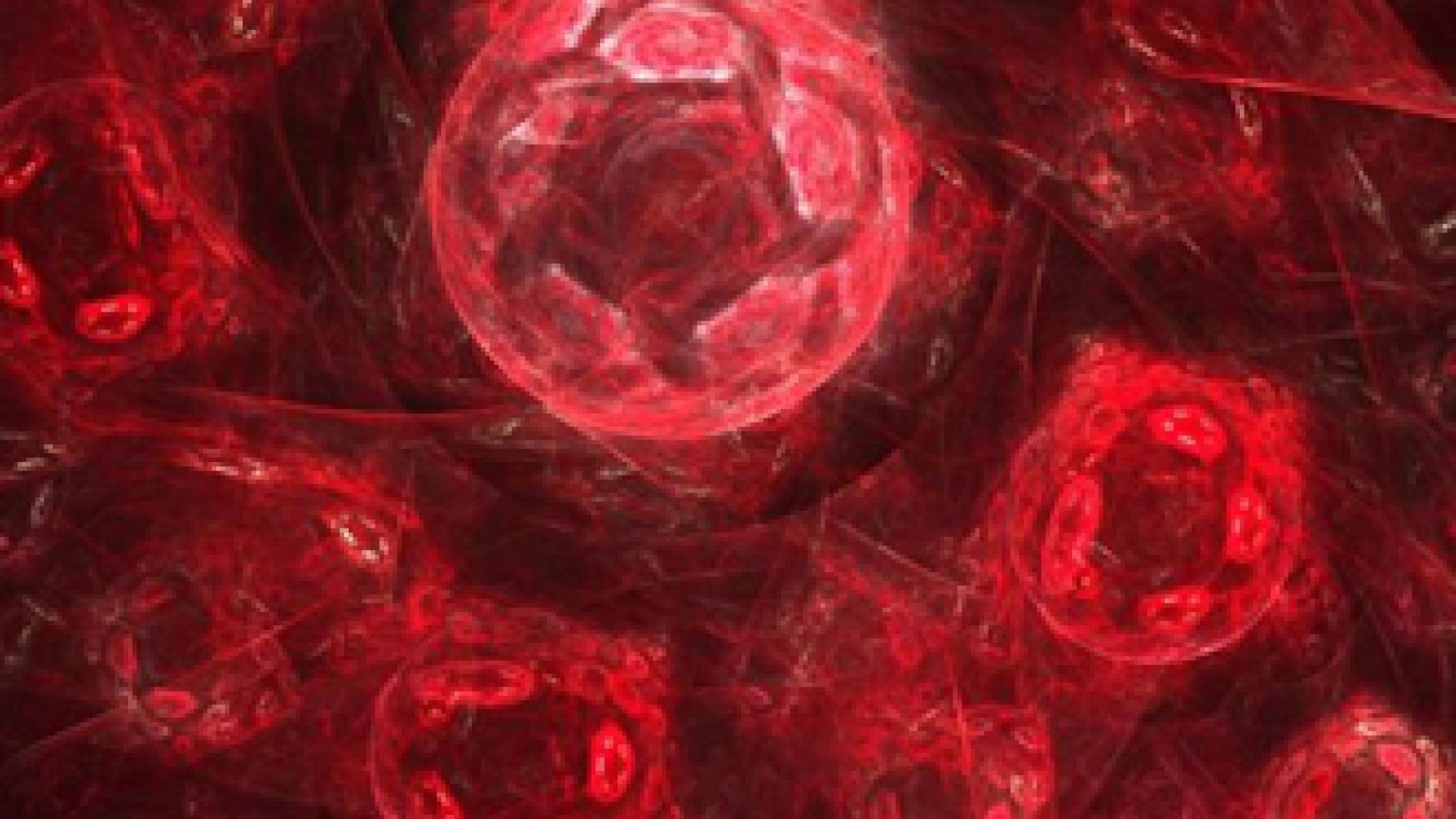 2013_0026_2013_0026_IMATGE