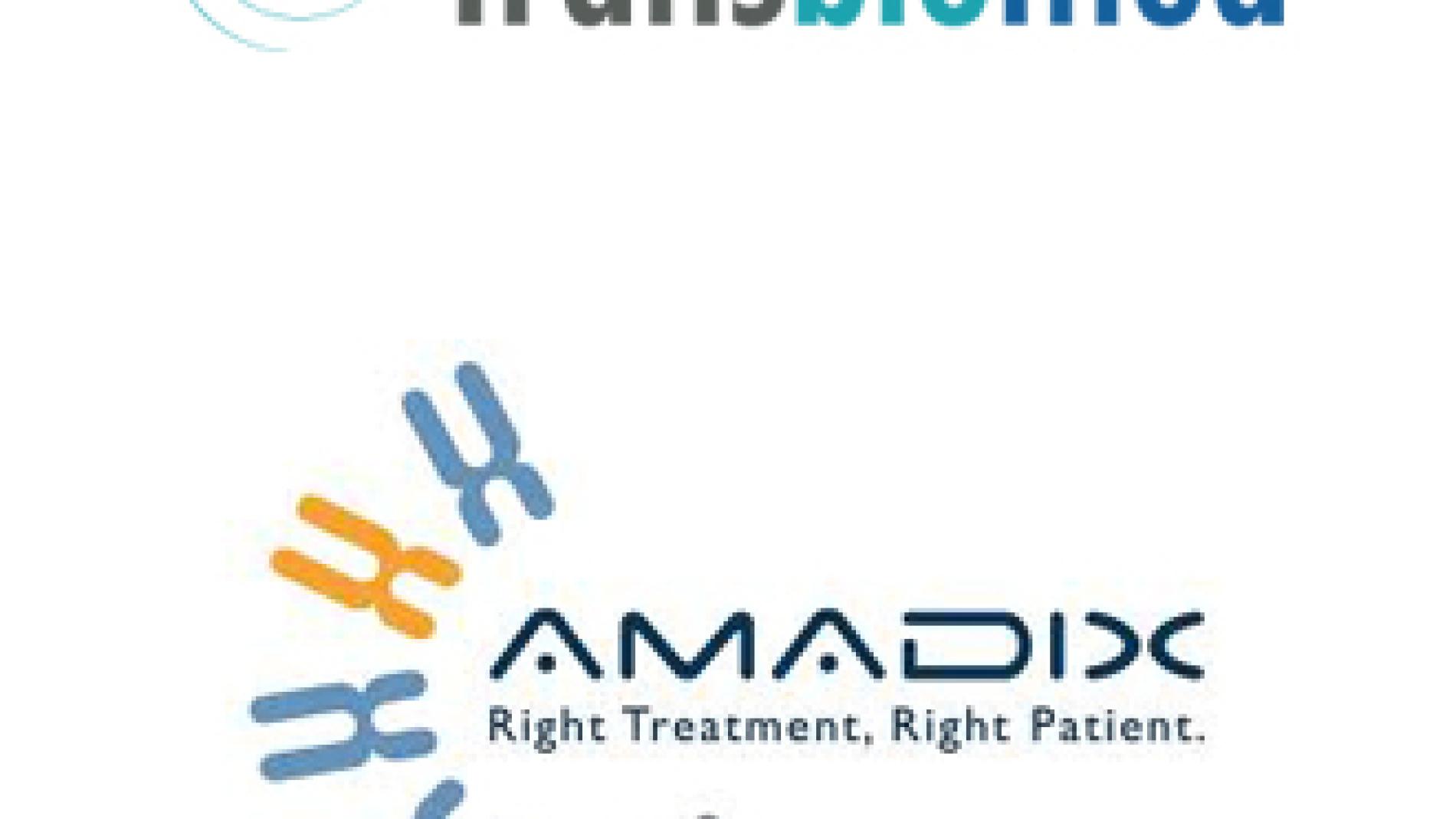 2013_0034_2013_0034_IMATGE