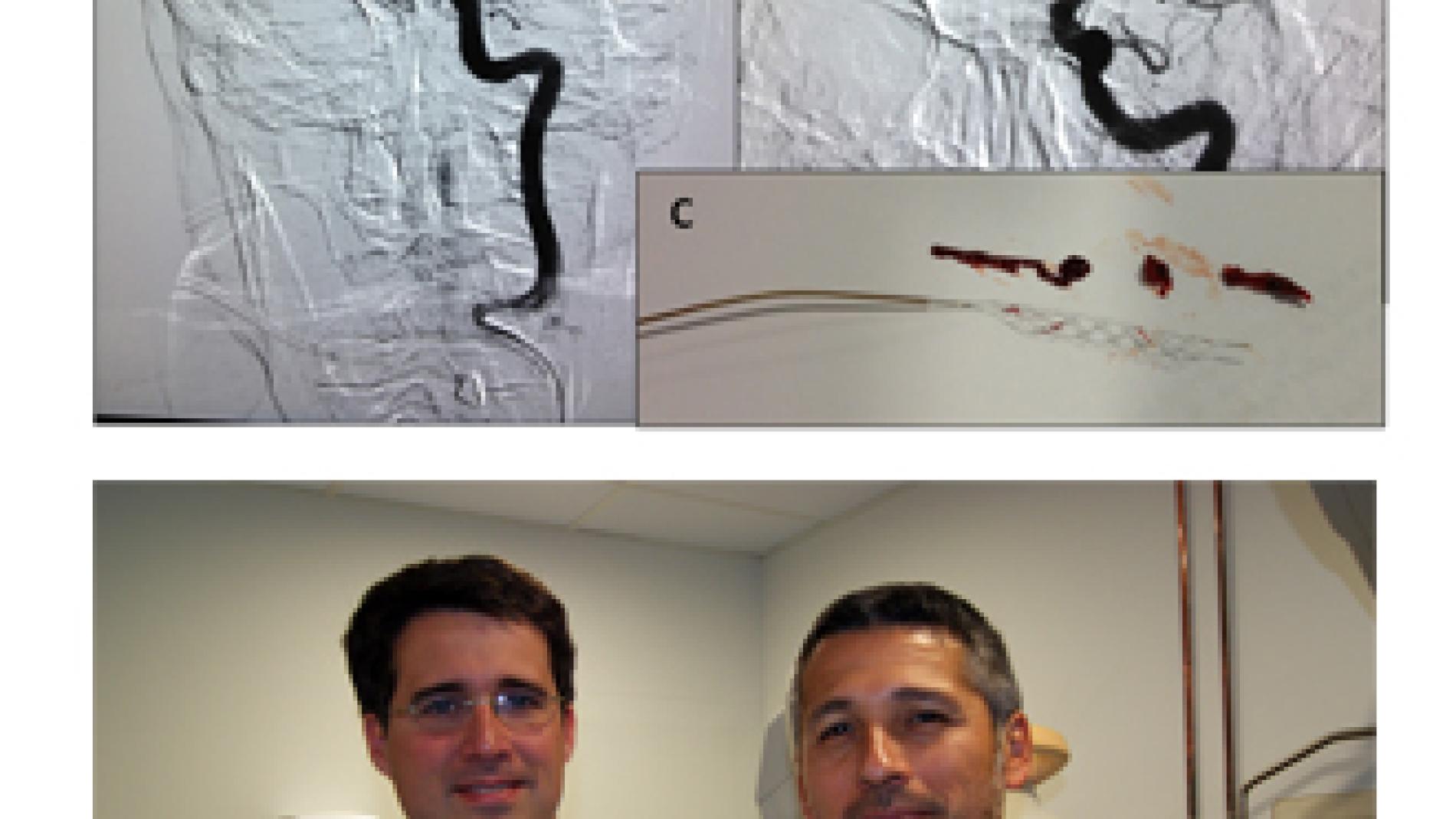 2013_0046_2013_0046_IMATGE