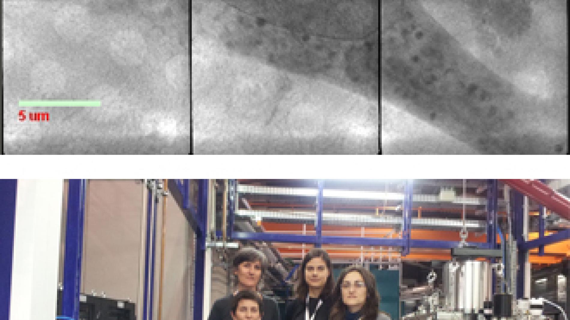 2013_0052_2013_0052_IMATGE