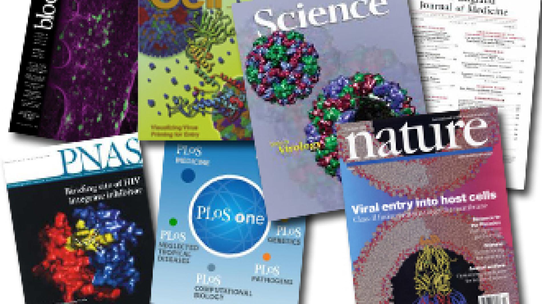 2013_0053_2013_0053_IMATGE