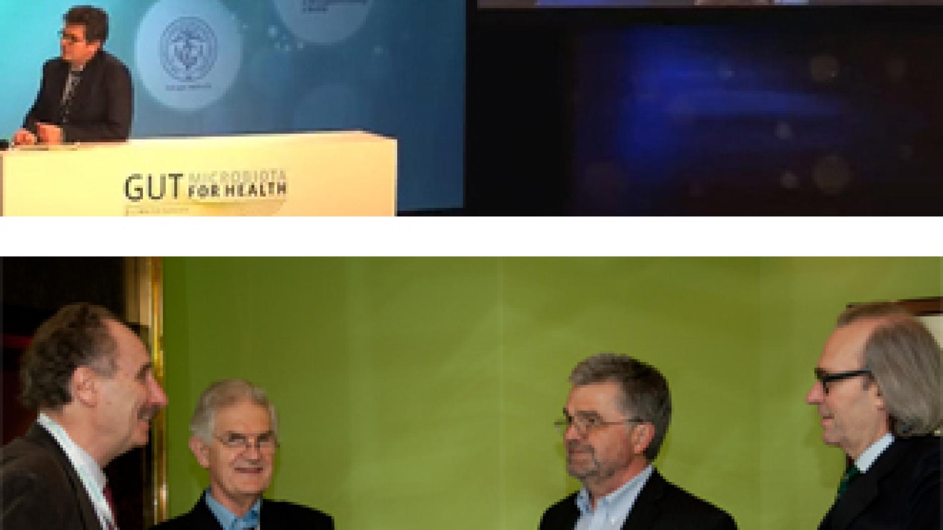 2013_0055_2013_0055_IMATGE