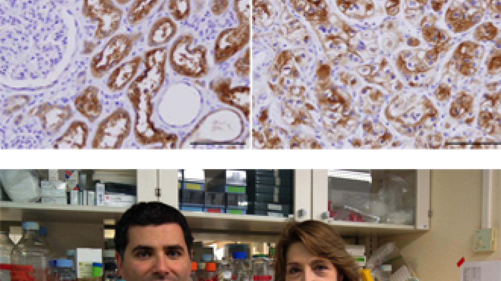 2013_0063_2013_0063_IMATGE