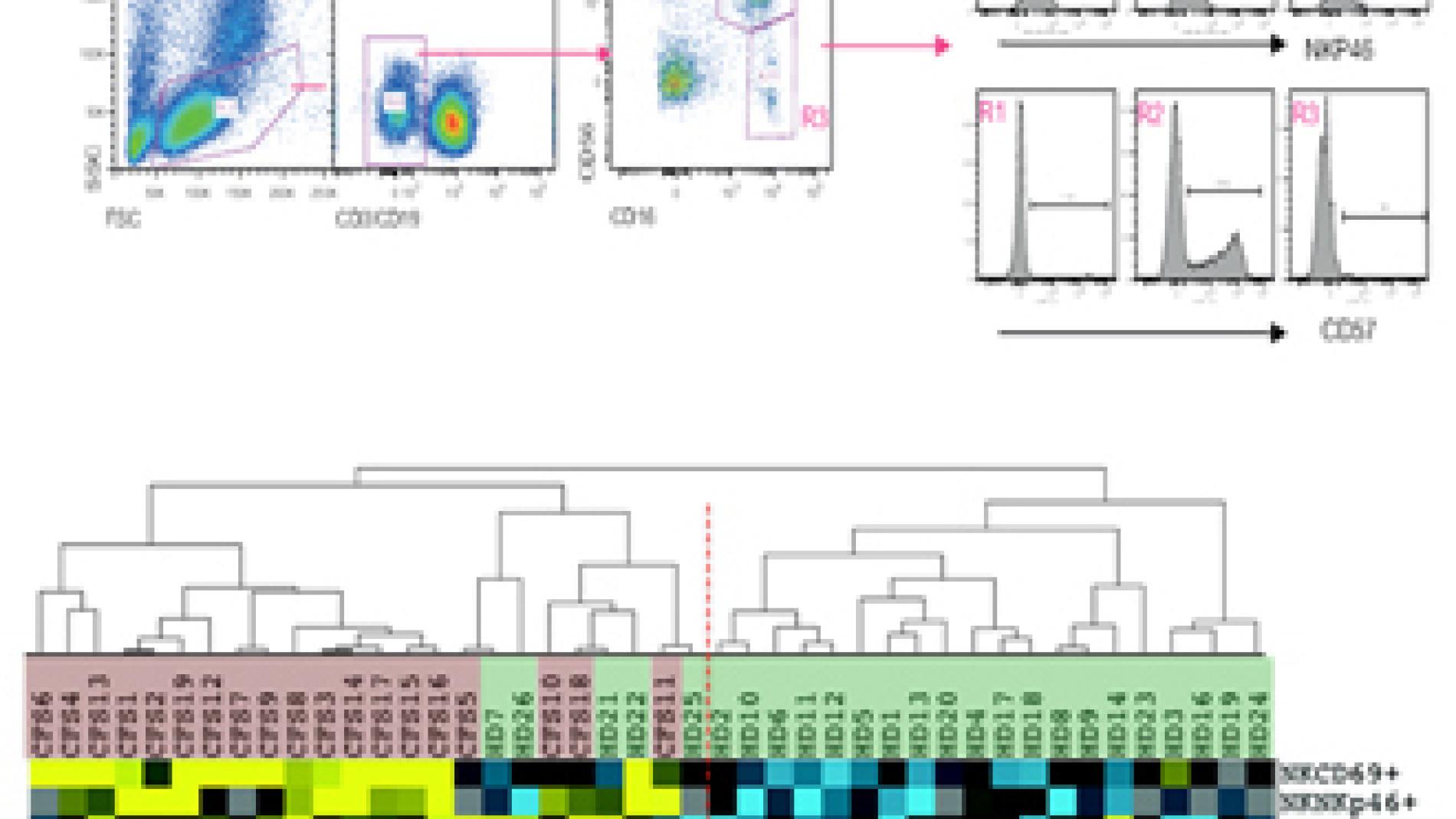 2013_0083_2013_0083_IMATGE