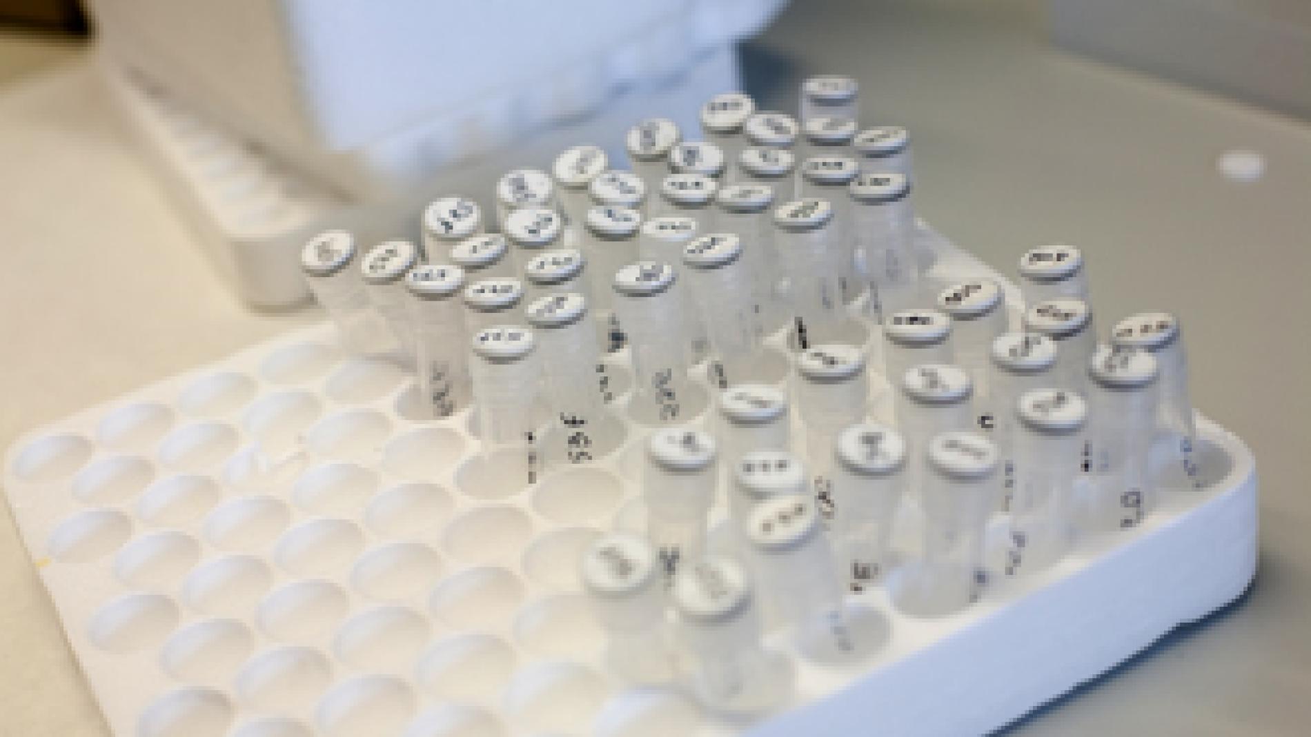 2013_0089_2013_0089_IMATGE