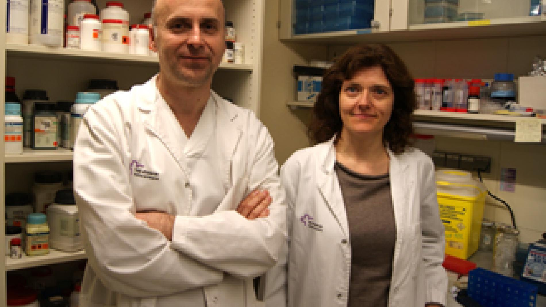 2013_0096_2013_0096_IMATGE