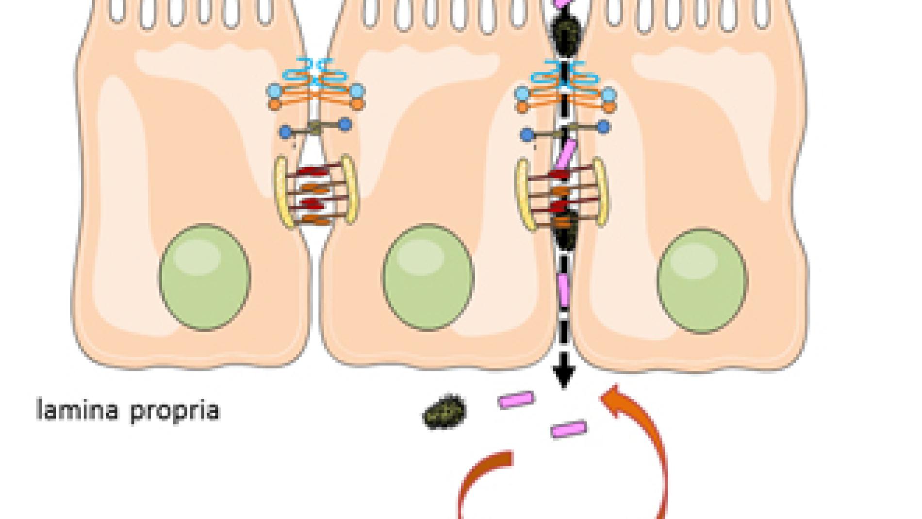 2013_0117_2013_0117_IMATGE