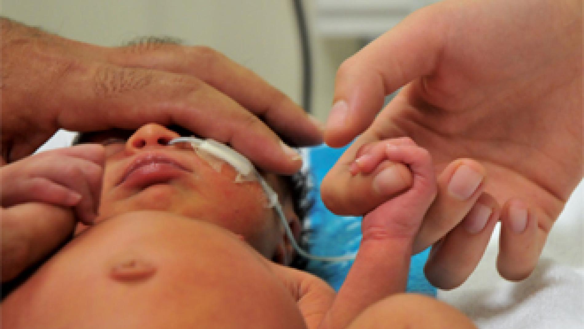 2013_0122_2013_0122_IMATGE