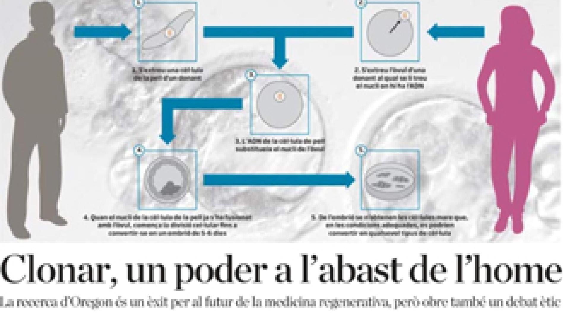 2013_0126_2013_0126_IMATGE