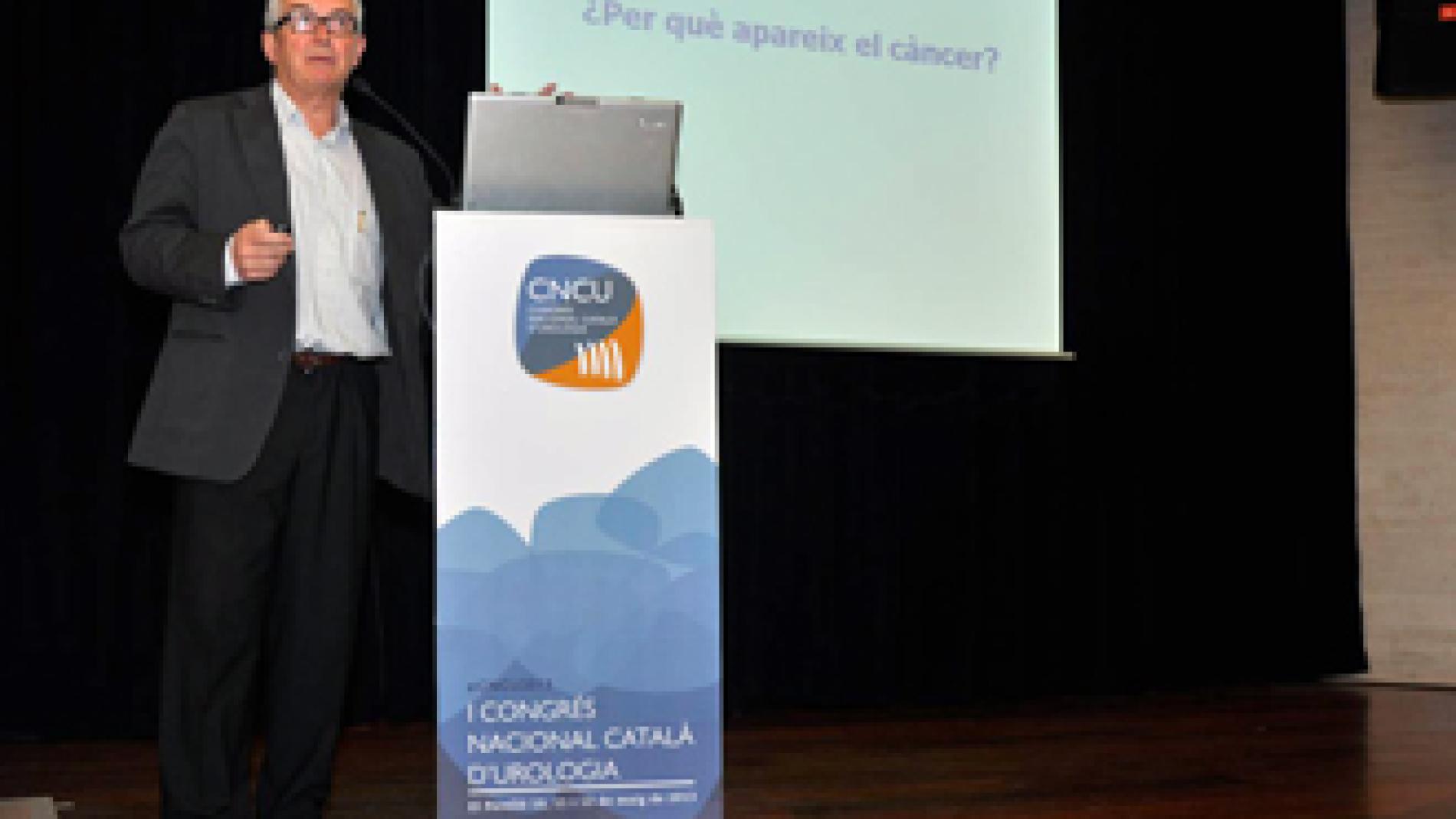 2013_0146_2013_0146_IMATGE