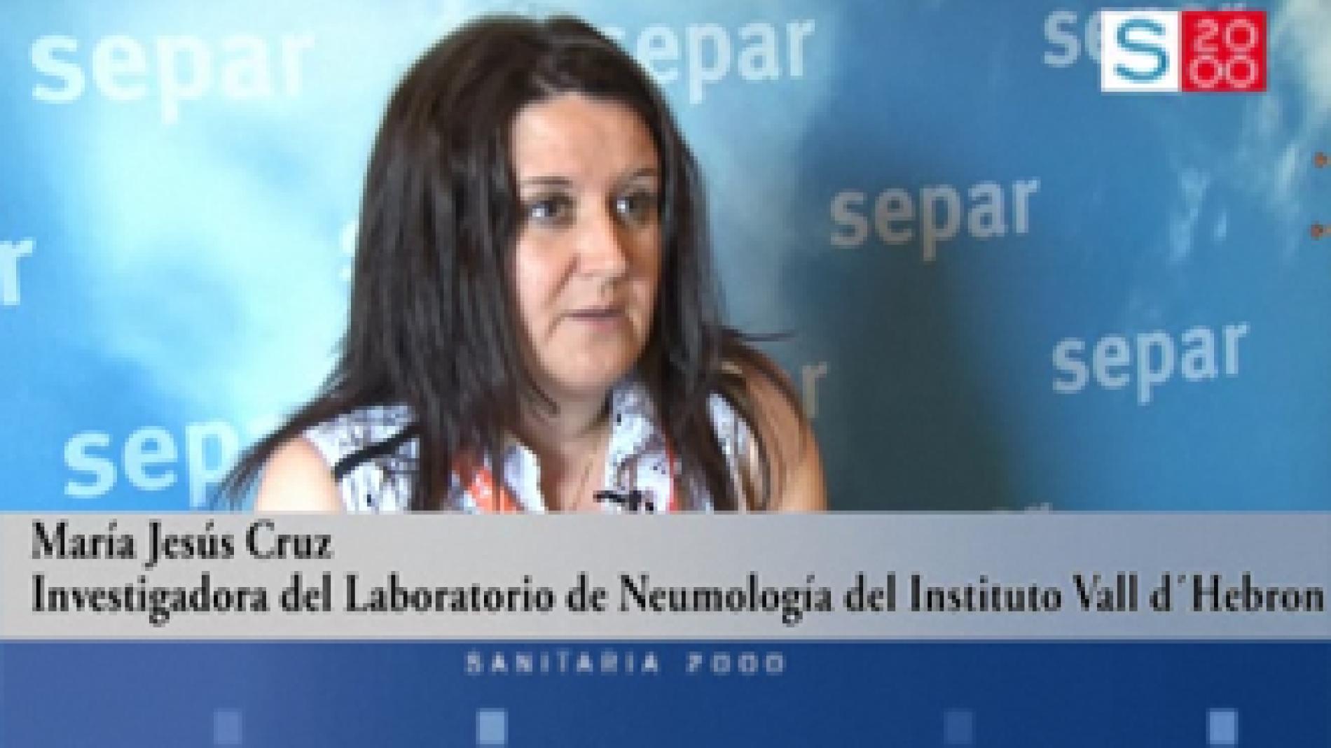 2013_0161_2013_0161_IMATGE