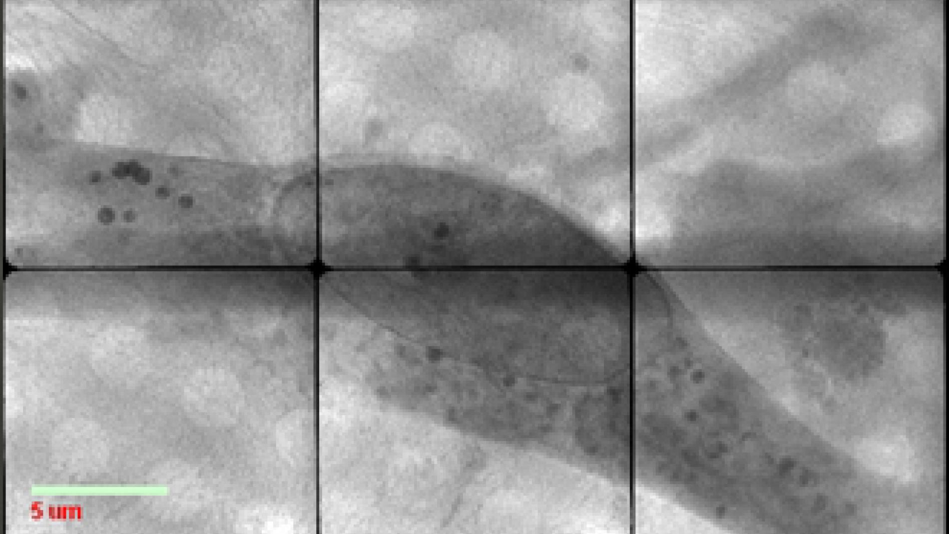 2013_0209_2013_0209_IMATGE