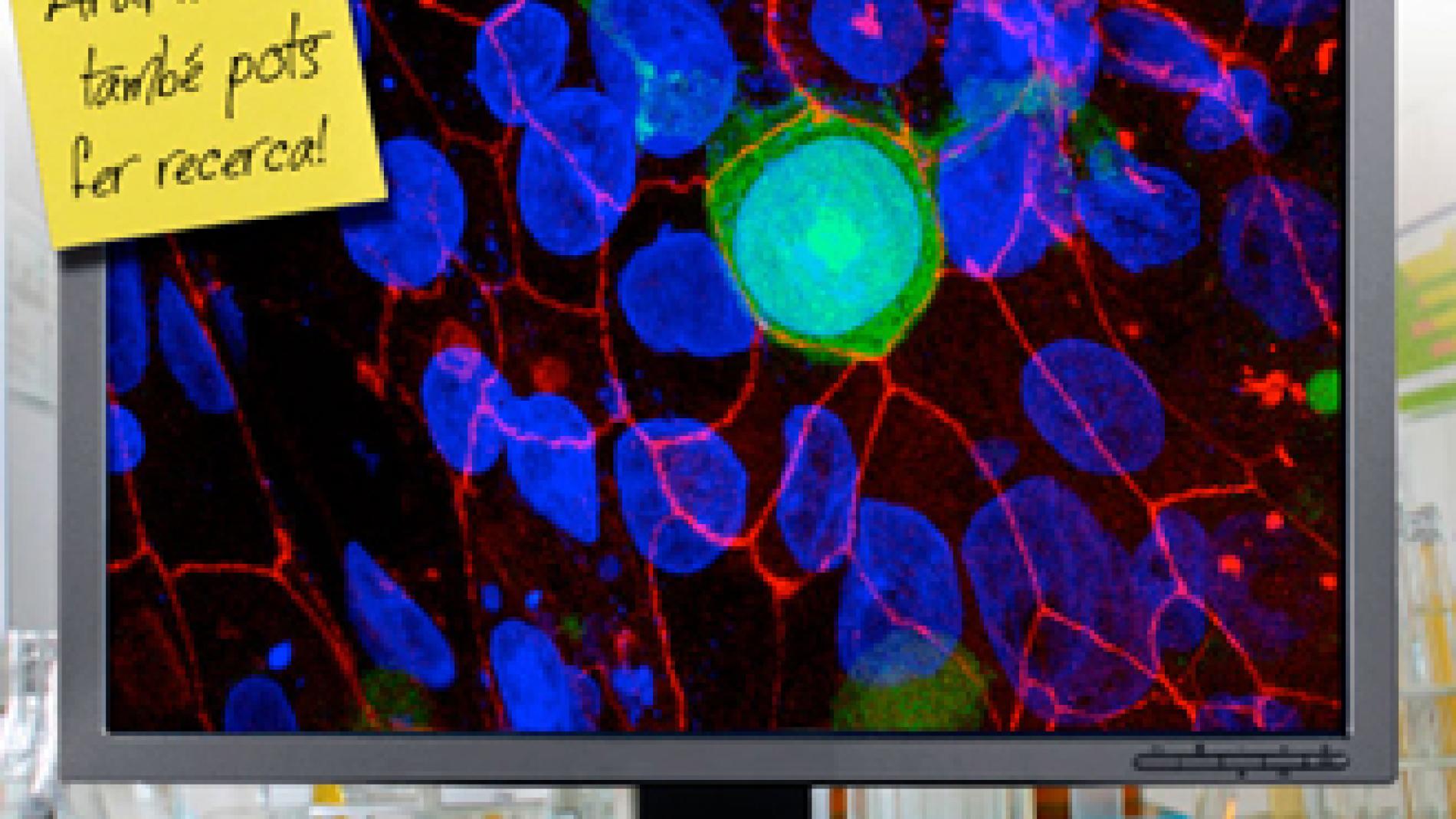 2013_0227_2013_0227_IMATGE