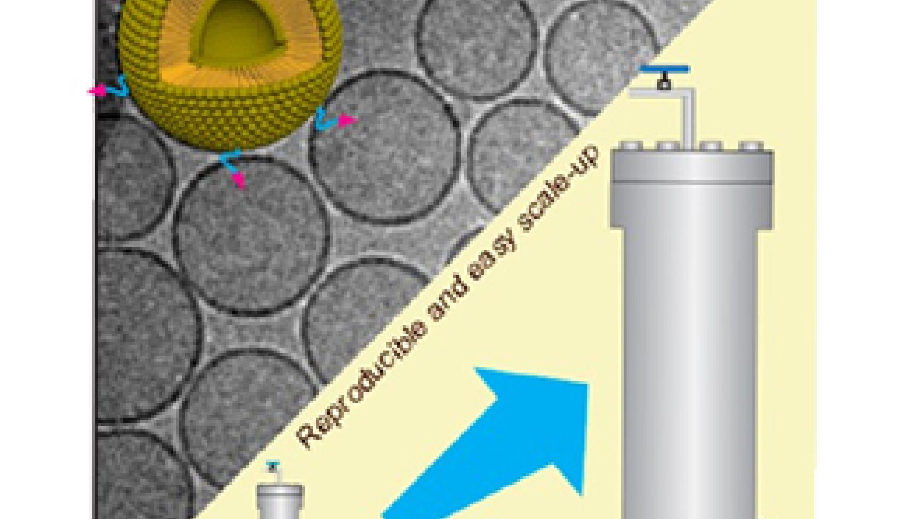 2013_0240_2013_0240_IMATGE