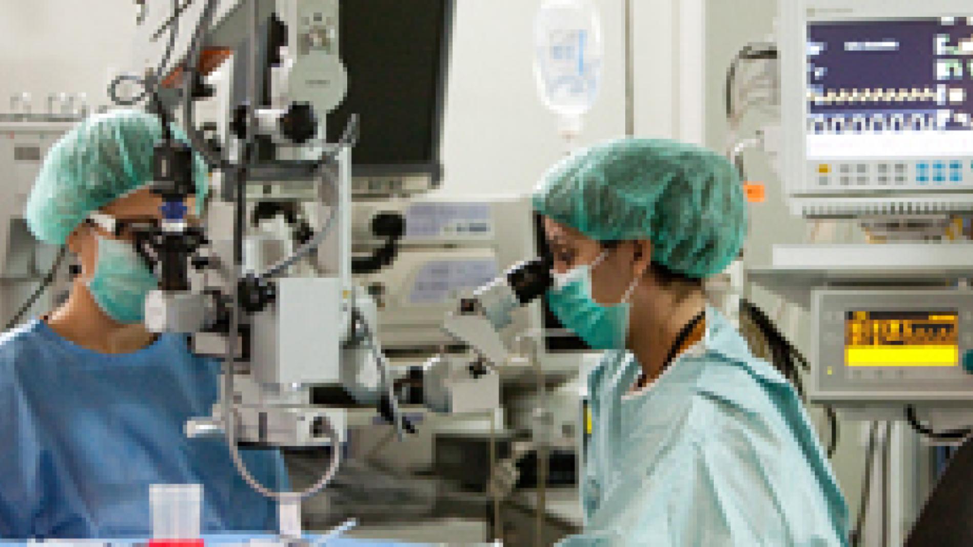 2013_0276_2013_0276_IMATGE