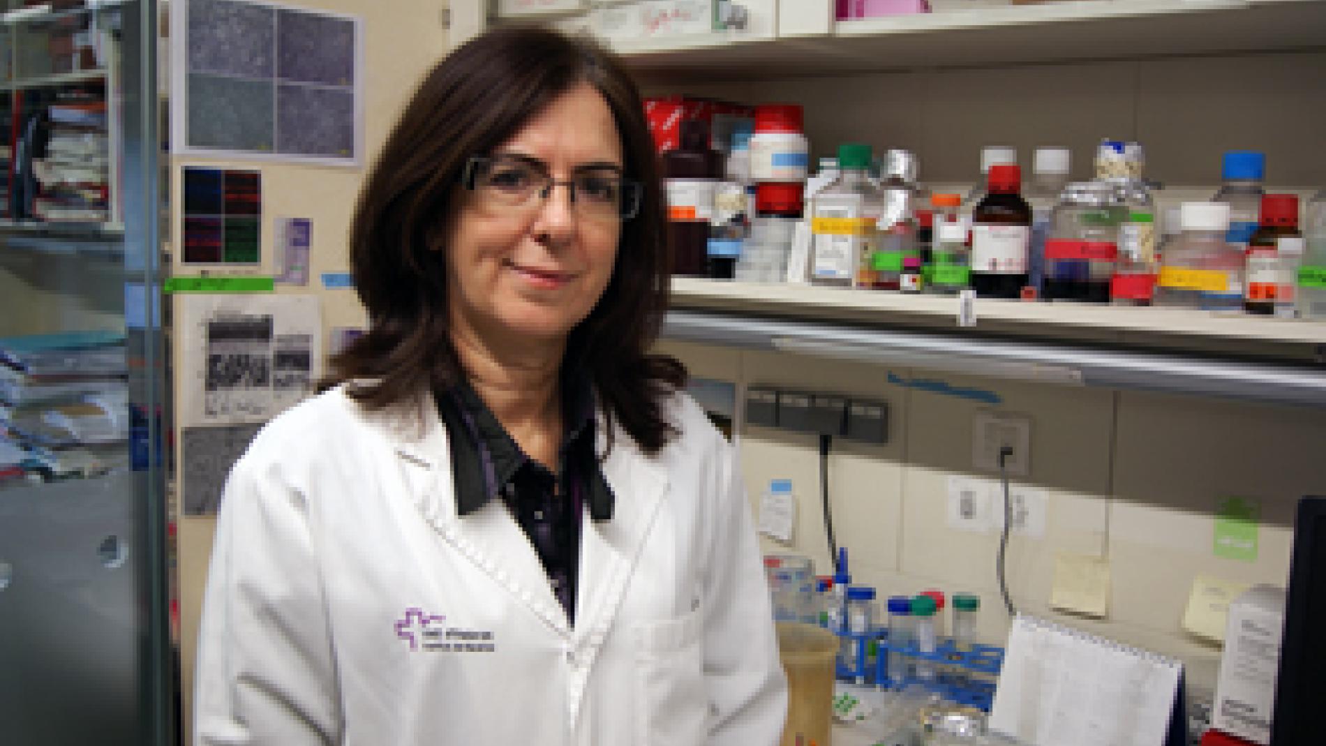 2013_0329_2013_0329_IMATGE