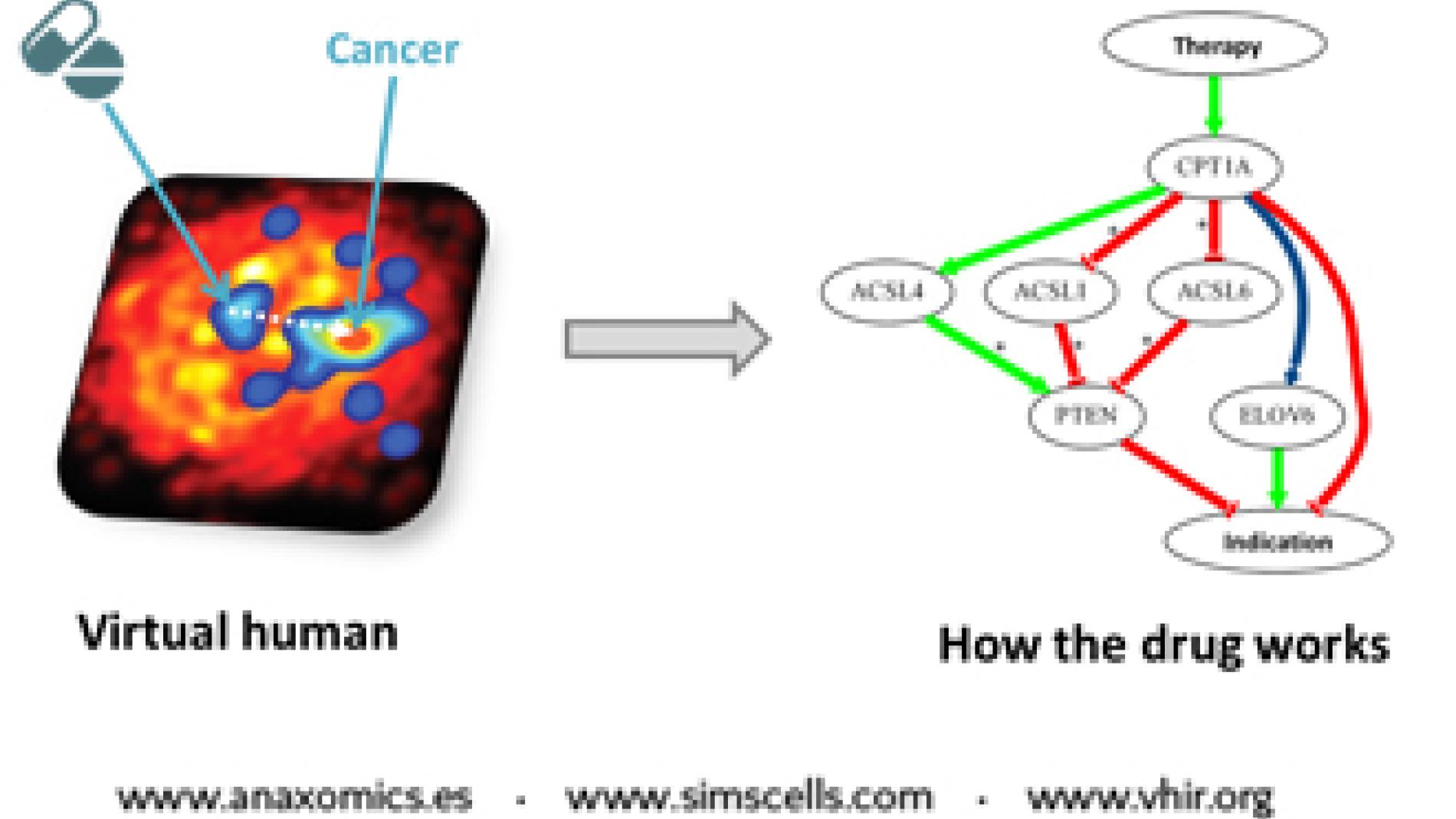 2014_0008_2014_0008_IMATGE