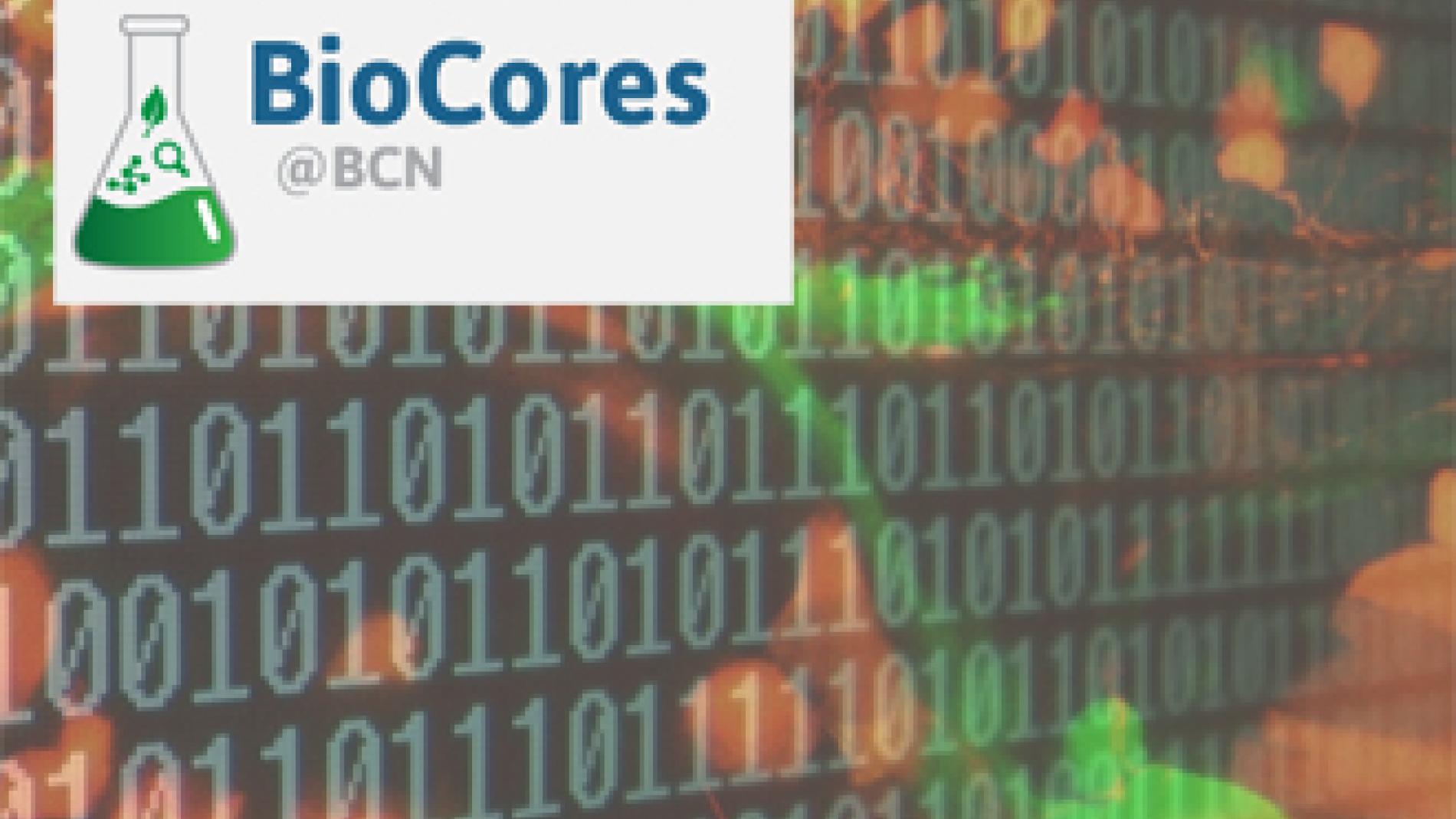 2014_0016_2014_0016_IMATGE