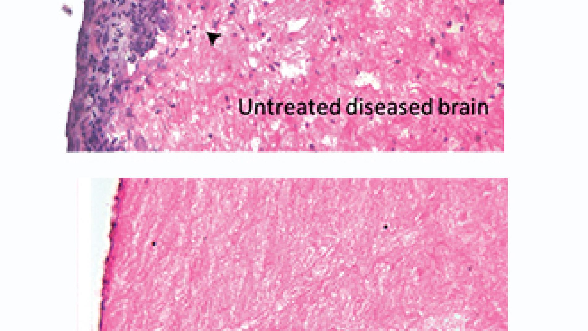 2014_0044_2014_0044_IMATGE