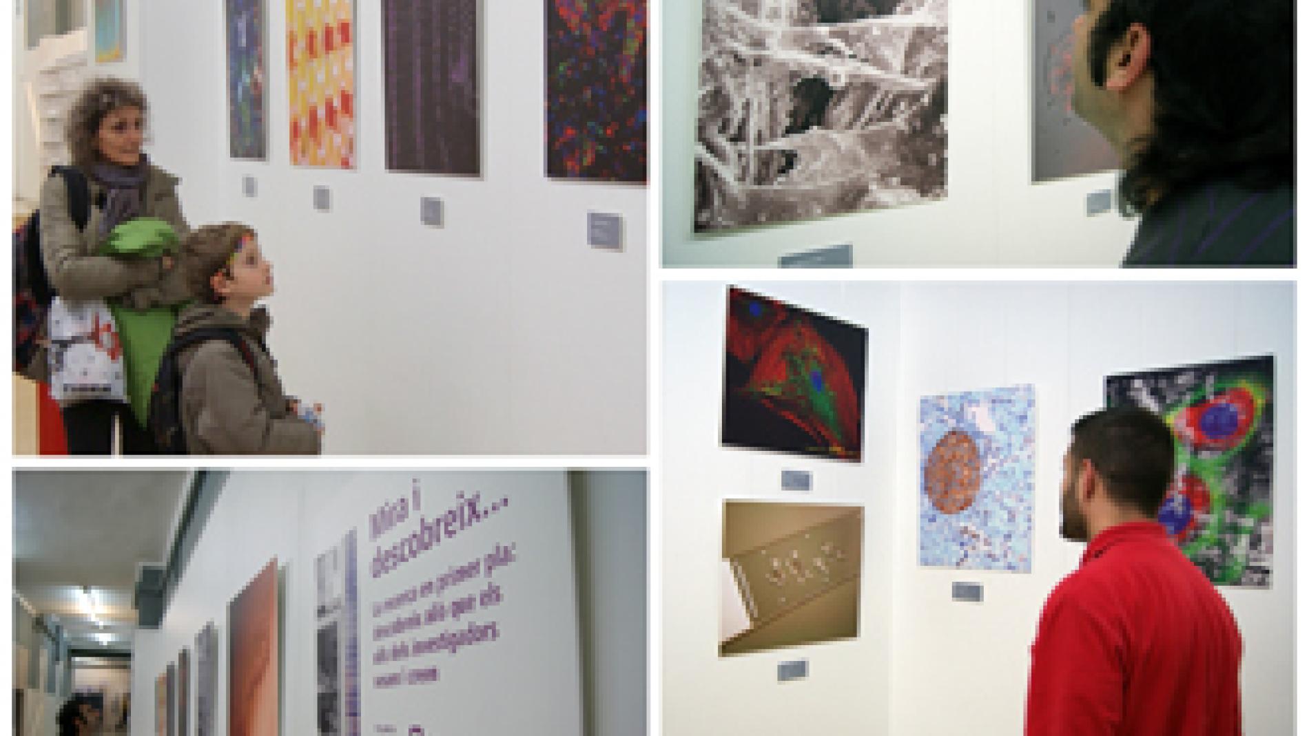 2014_0046_2014_0046_IMATGE