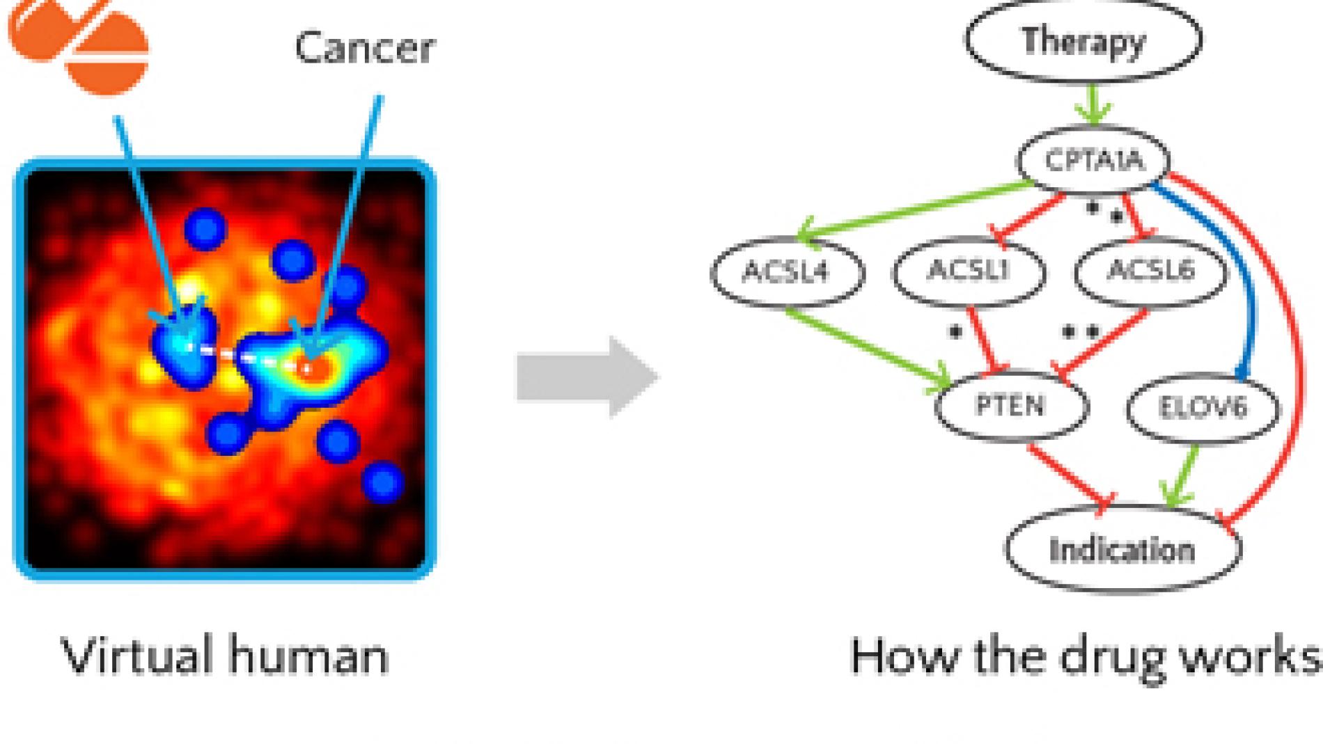 2014_0052_2014_0052_IMATGE