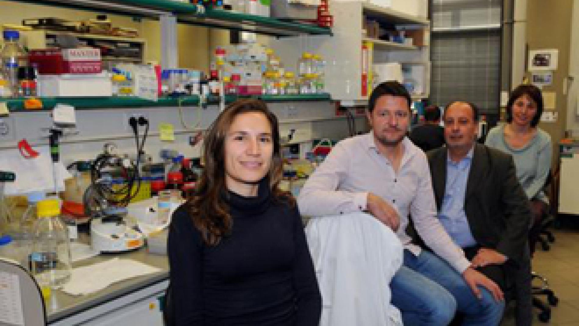 2014_0059_2014_0059_IMATGE