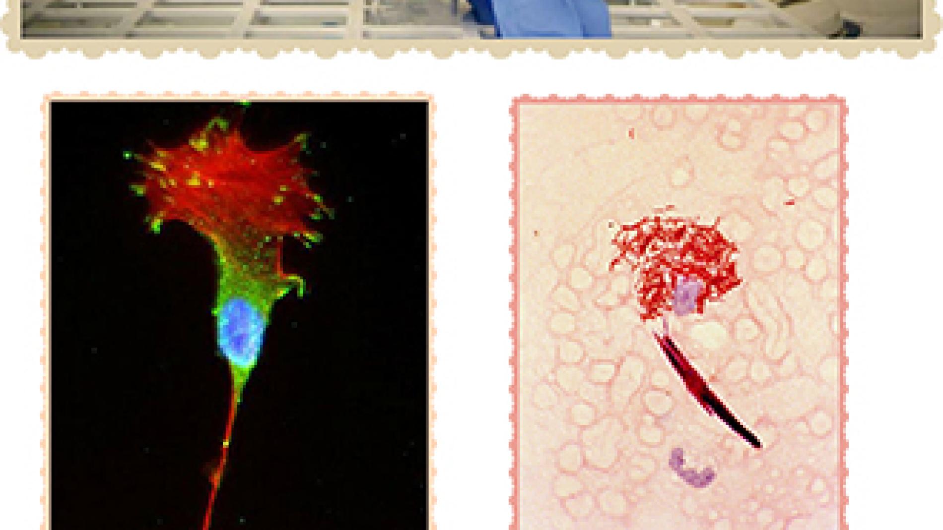 2014_0092_2014_0092_IMATGE