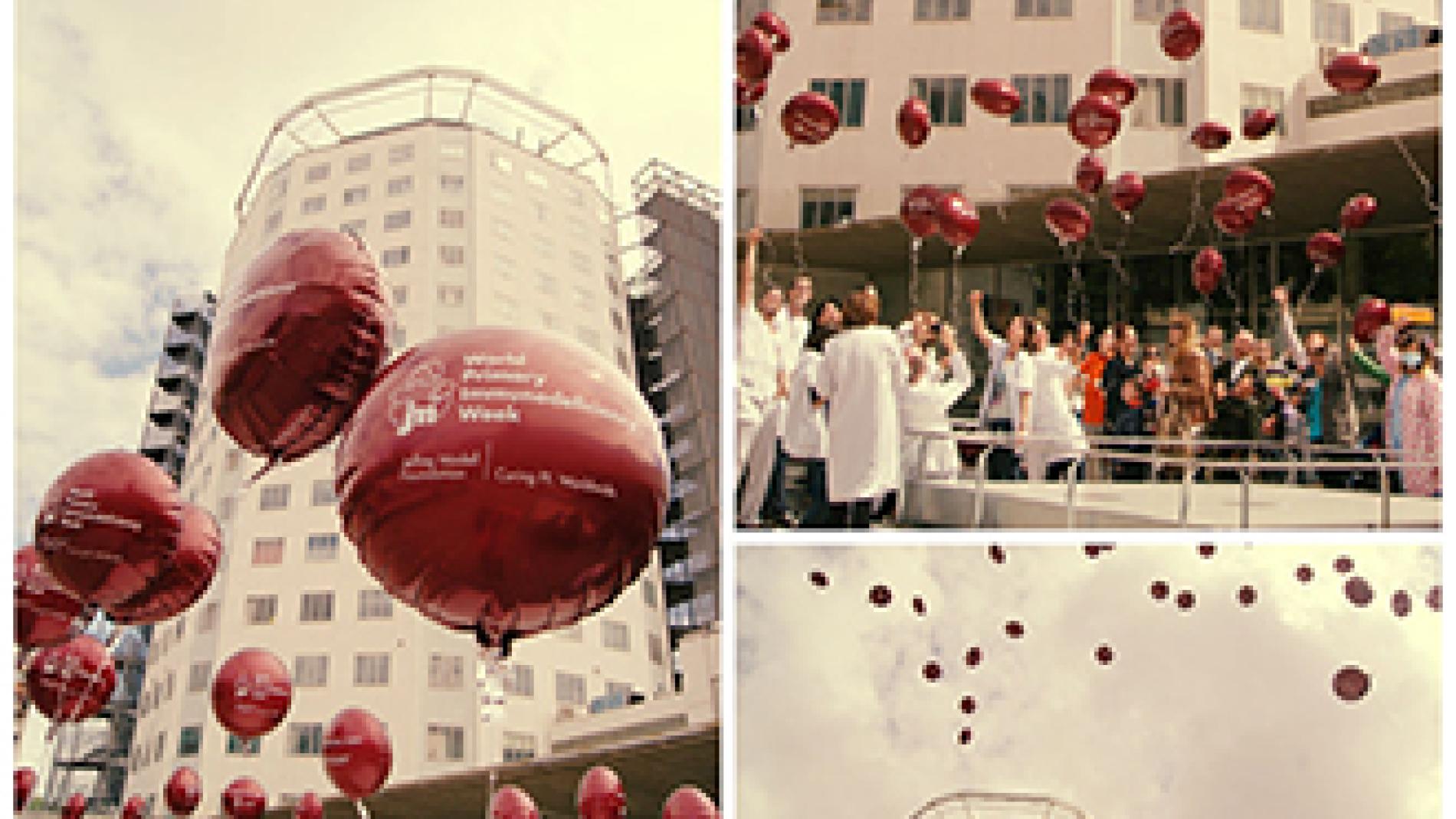 2014_0096_2014_0096_IMATGE