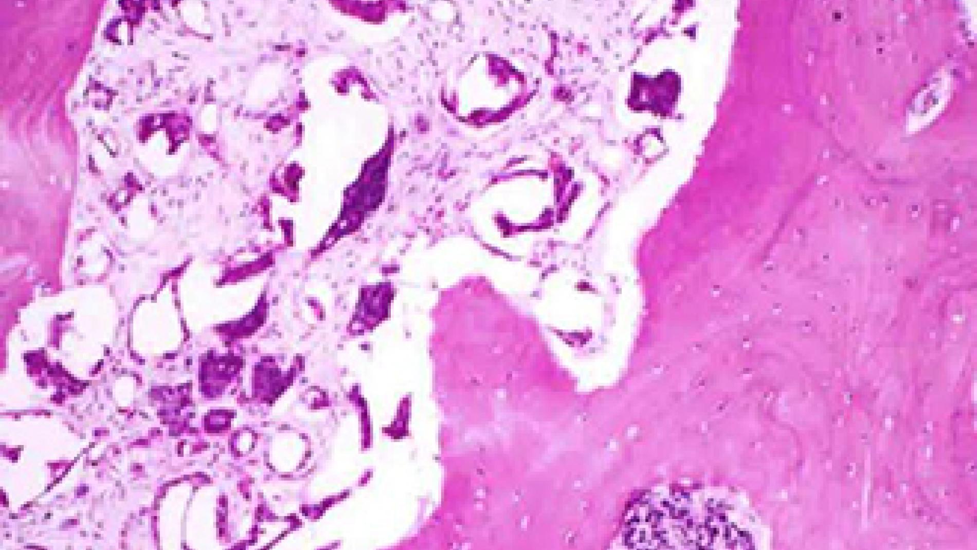 2014_0127_2014_0127_IMATGE