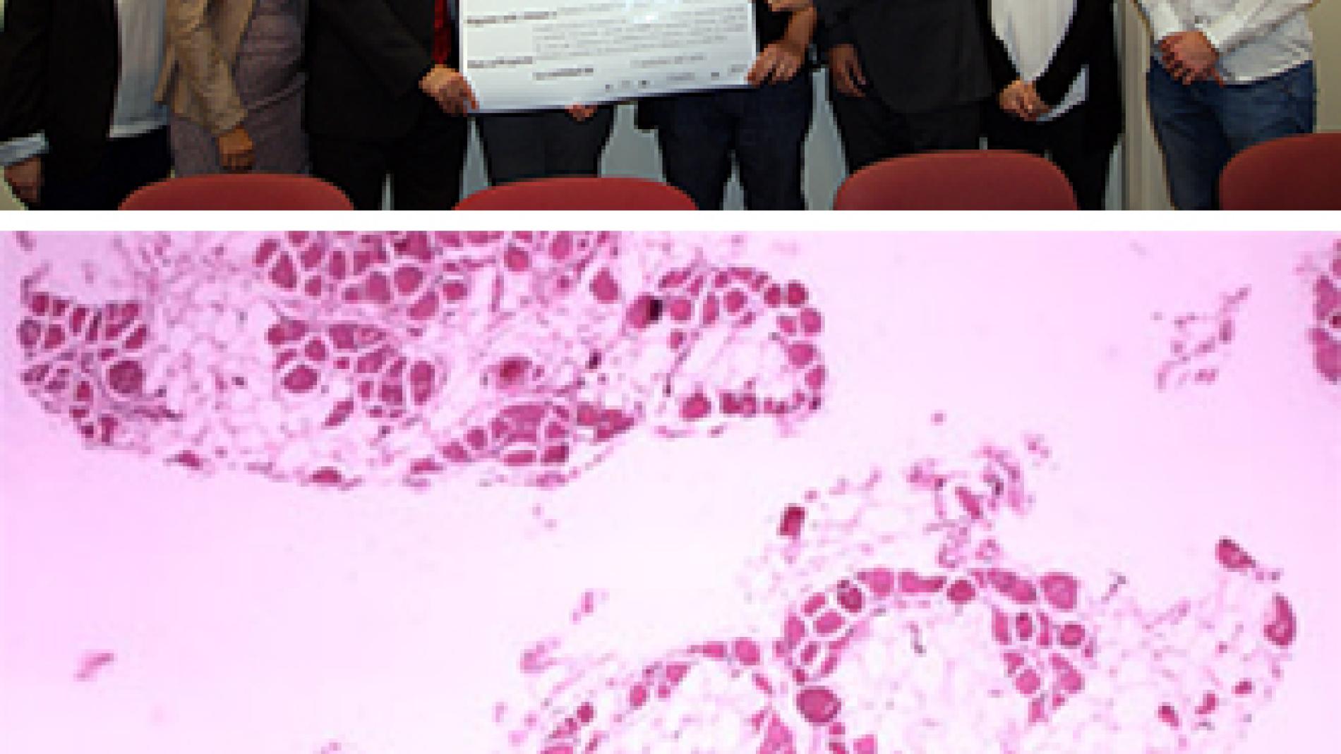 2014_0134_2014_0134_IMATGE