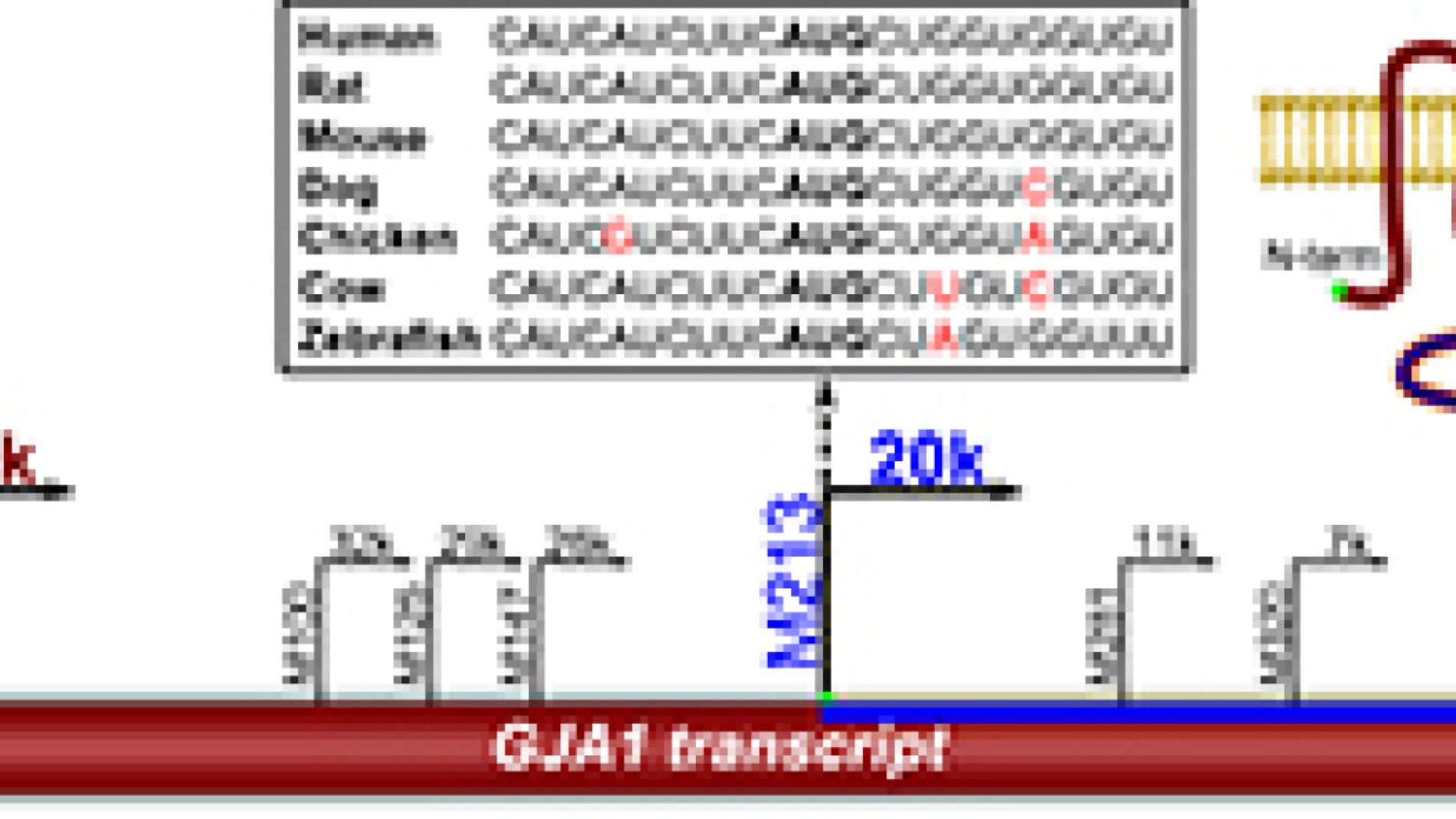 2014_0146_2014_0146_IMATGE