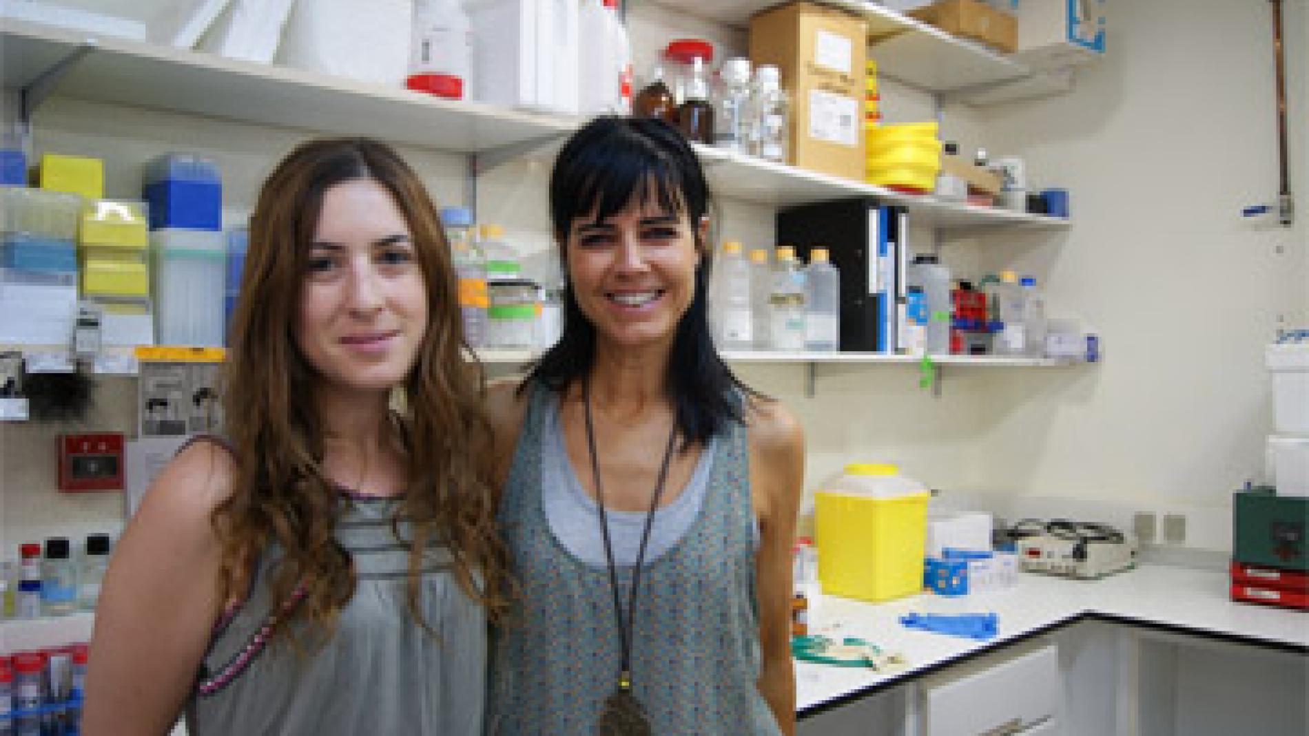 2014_0155_2014_0155_IMATGE