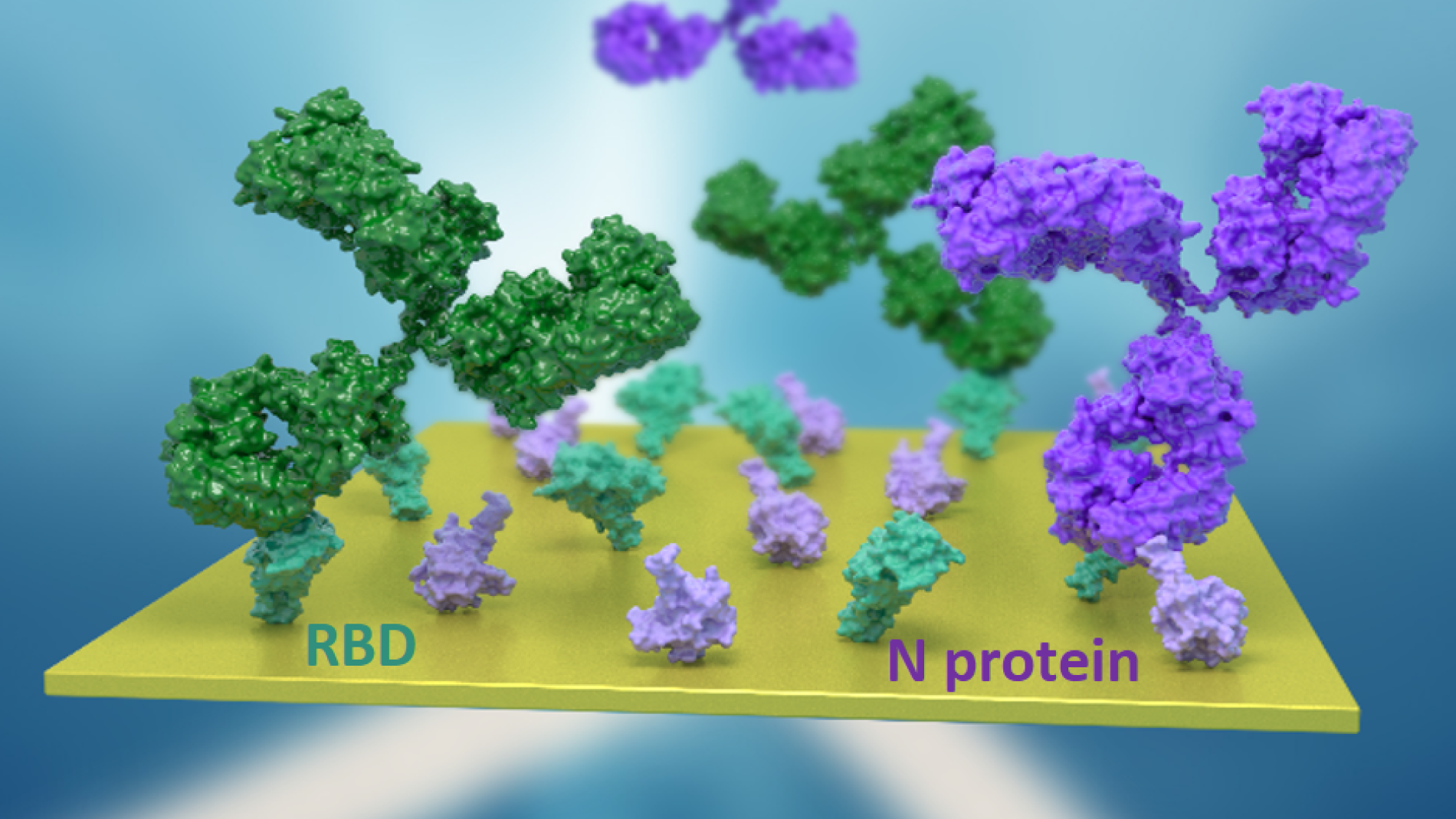 Biosensor òptic serologia COVID-19