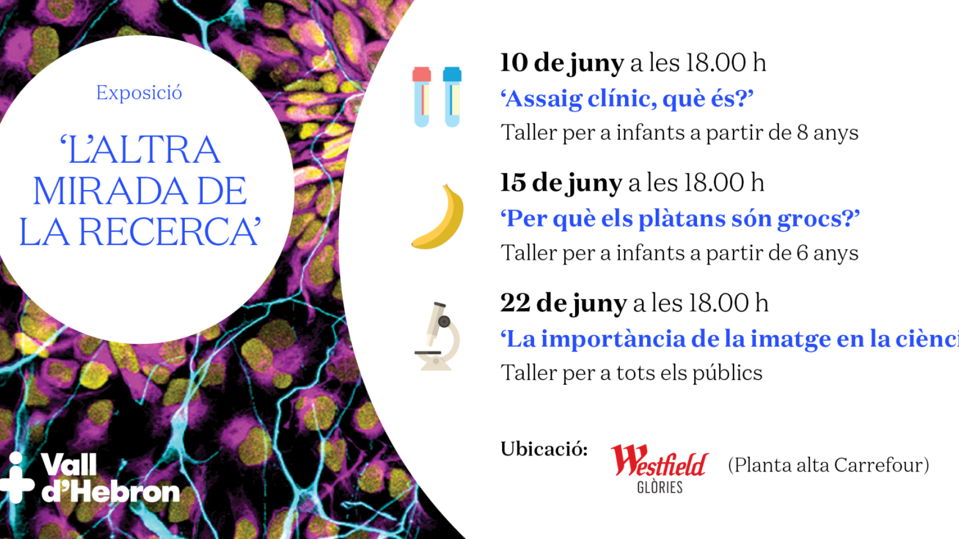 Activitats Fotografia Científica Glòries