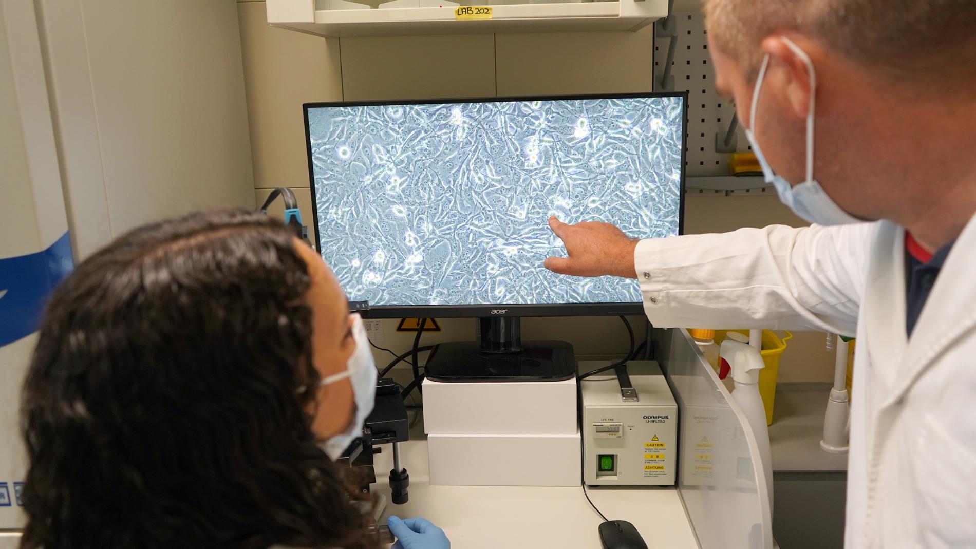 Microscopi Fàrmac EB1