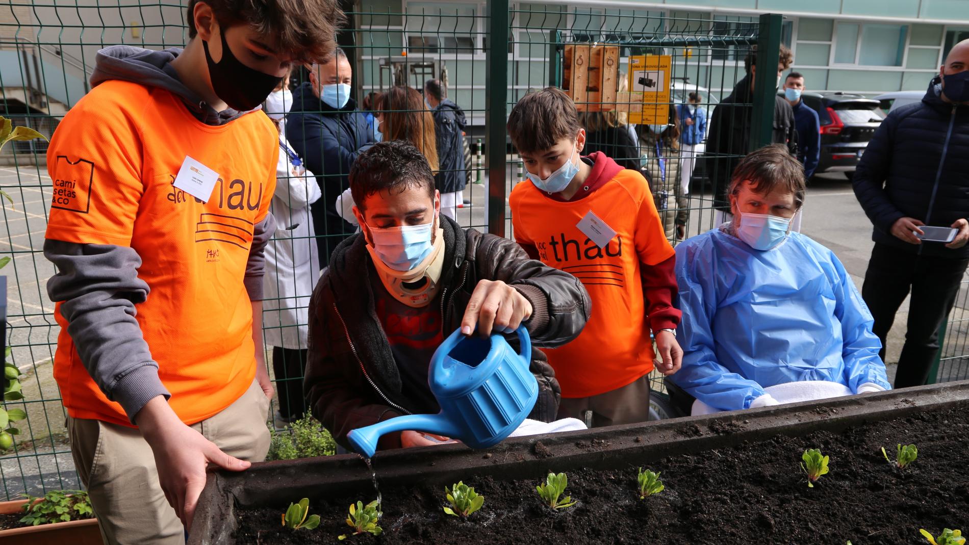 hort urba vall hebron